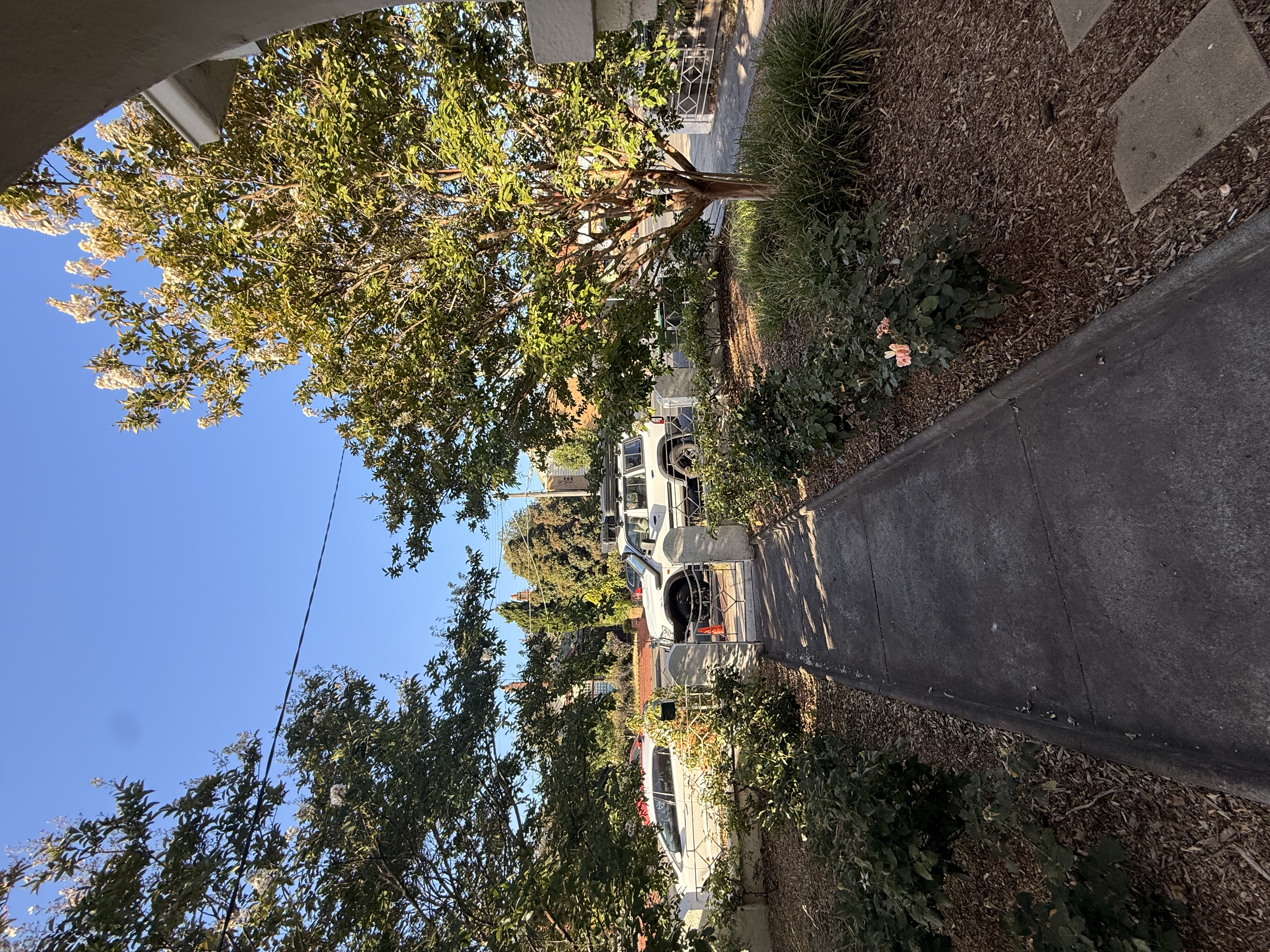 image-14