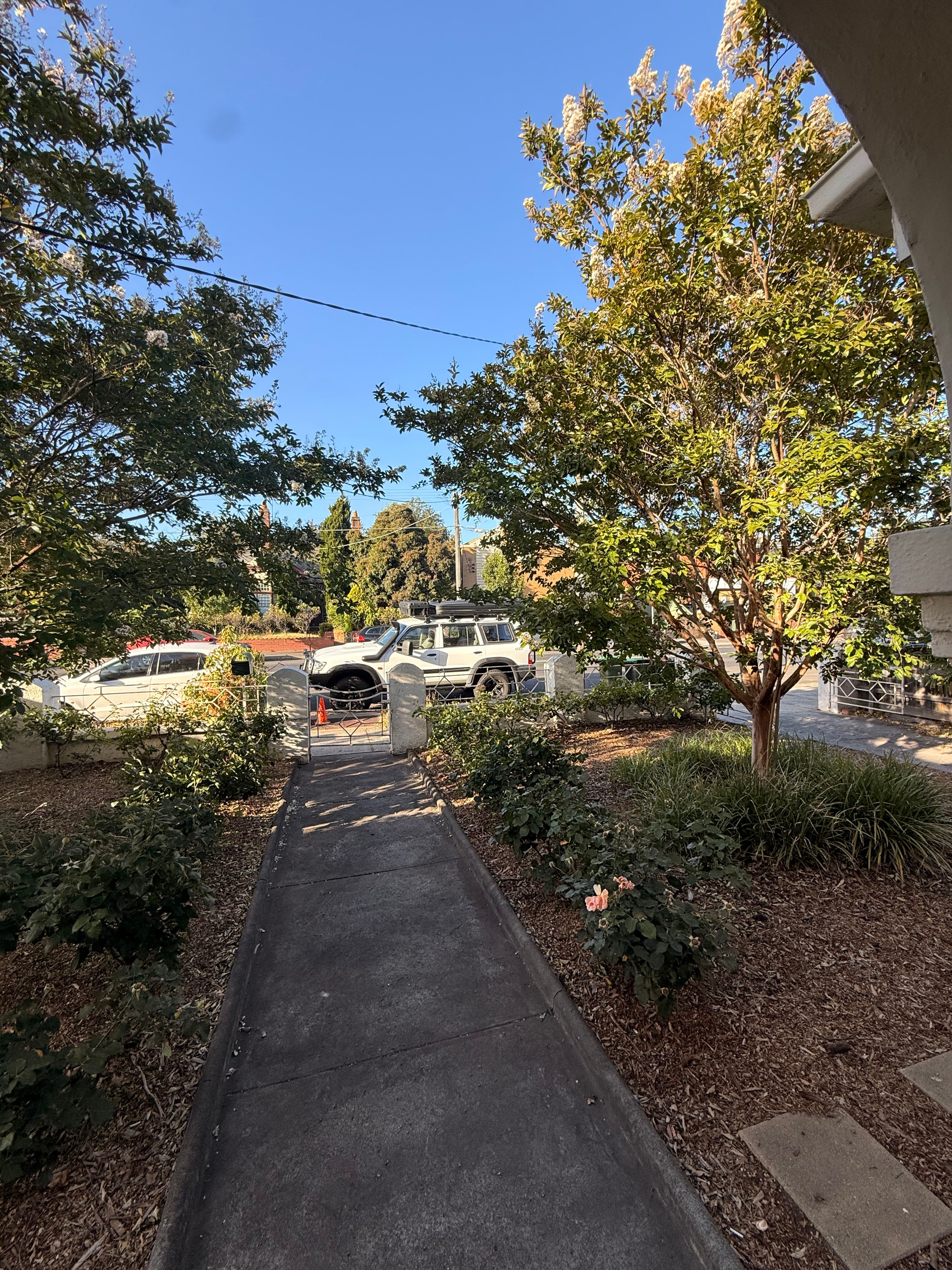 image-14