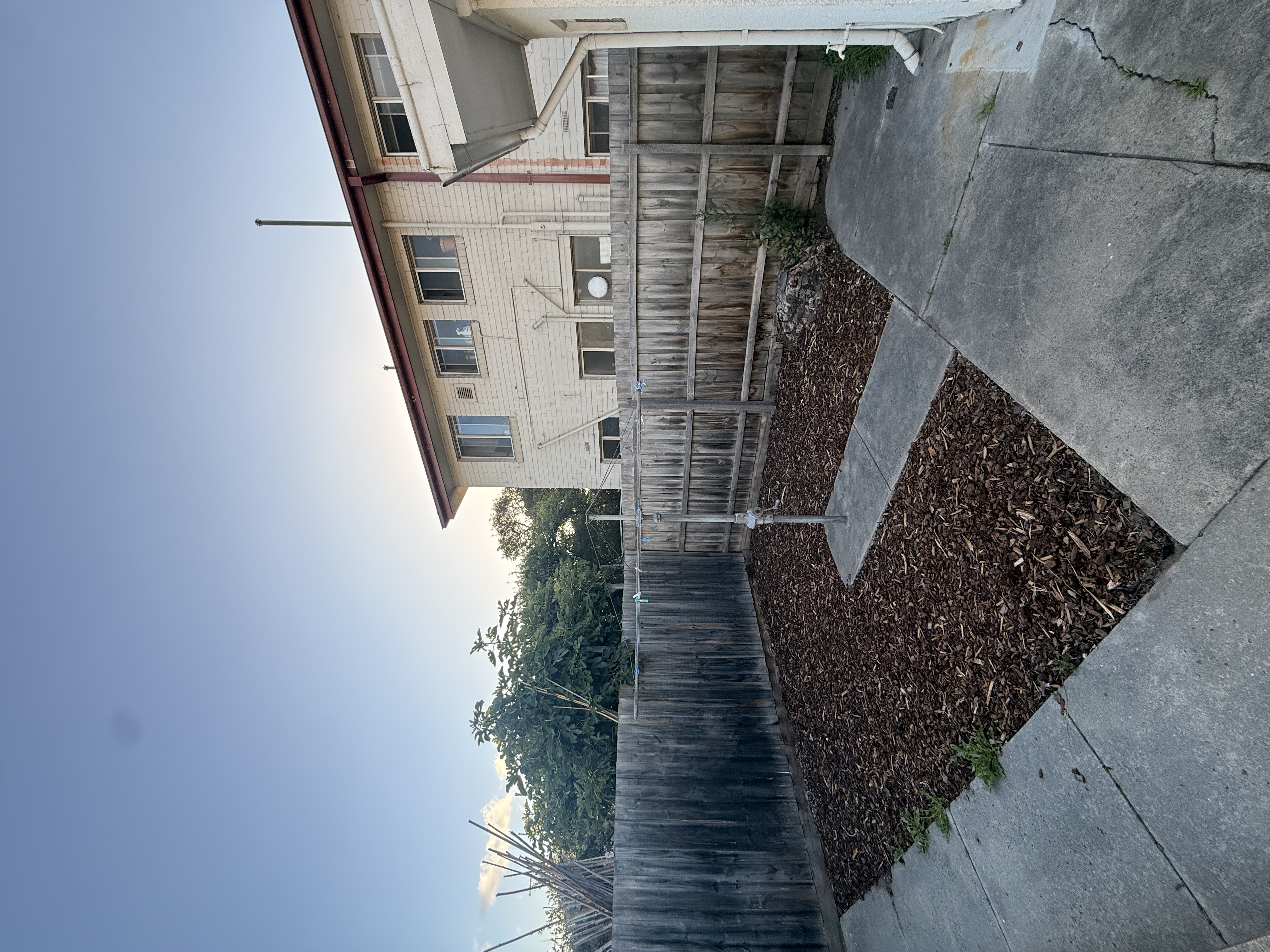 image-17
