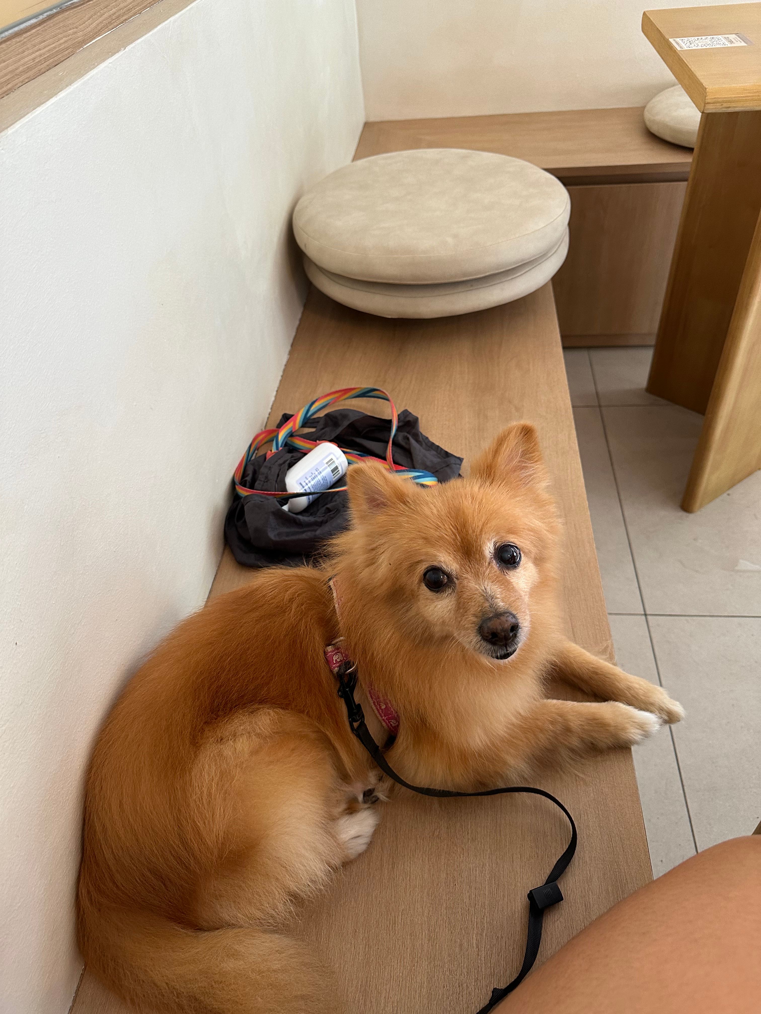 image-6