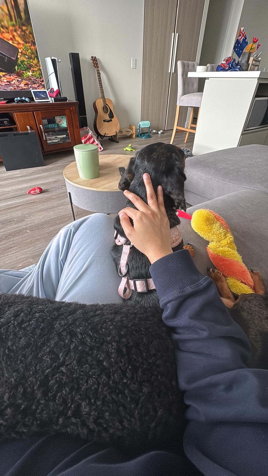 image-8