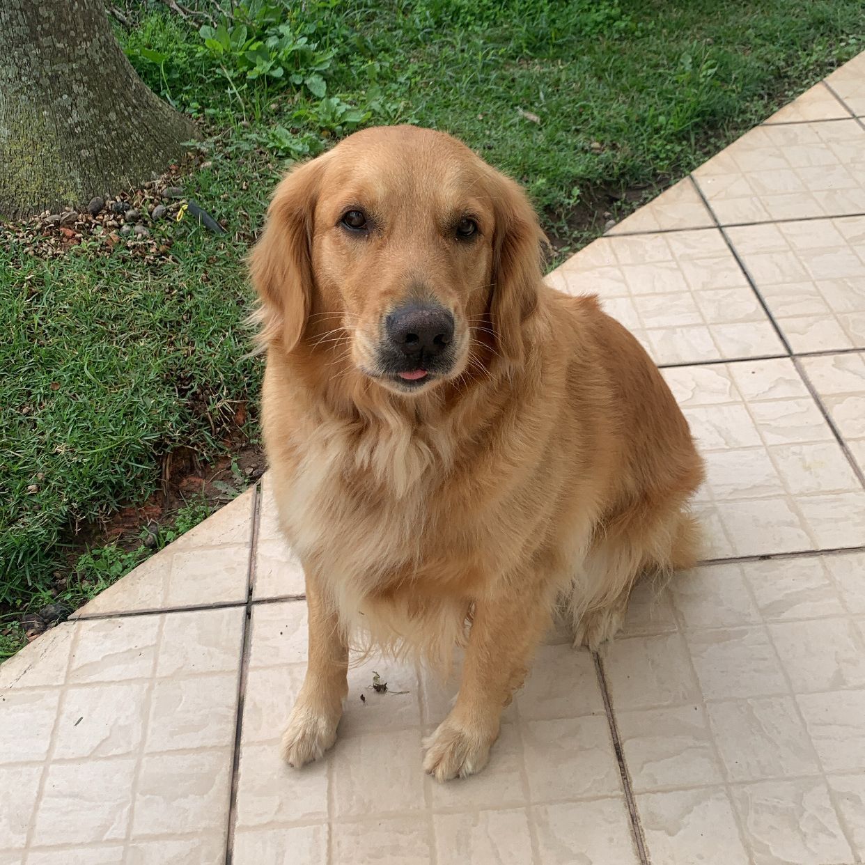 Mel