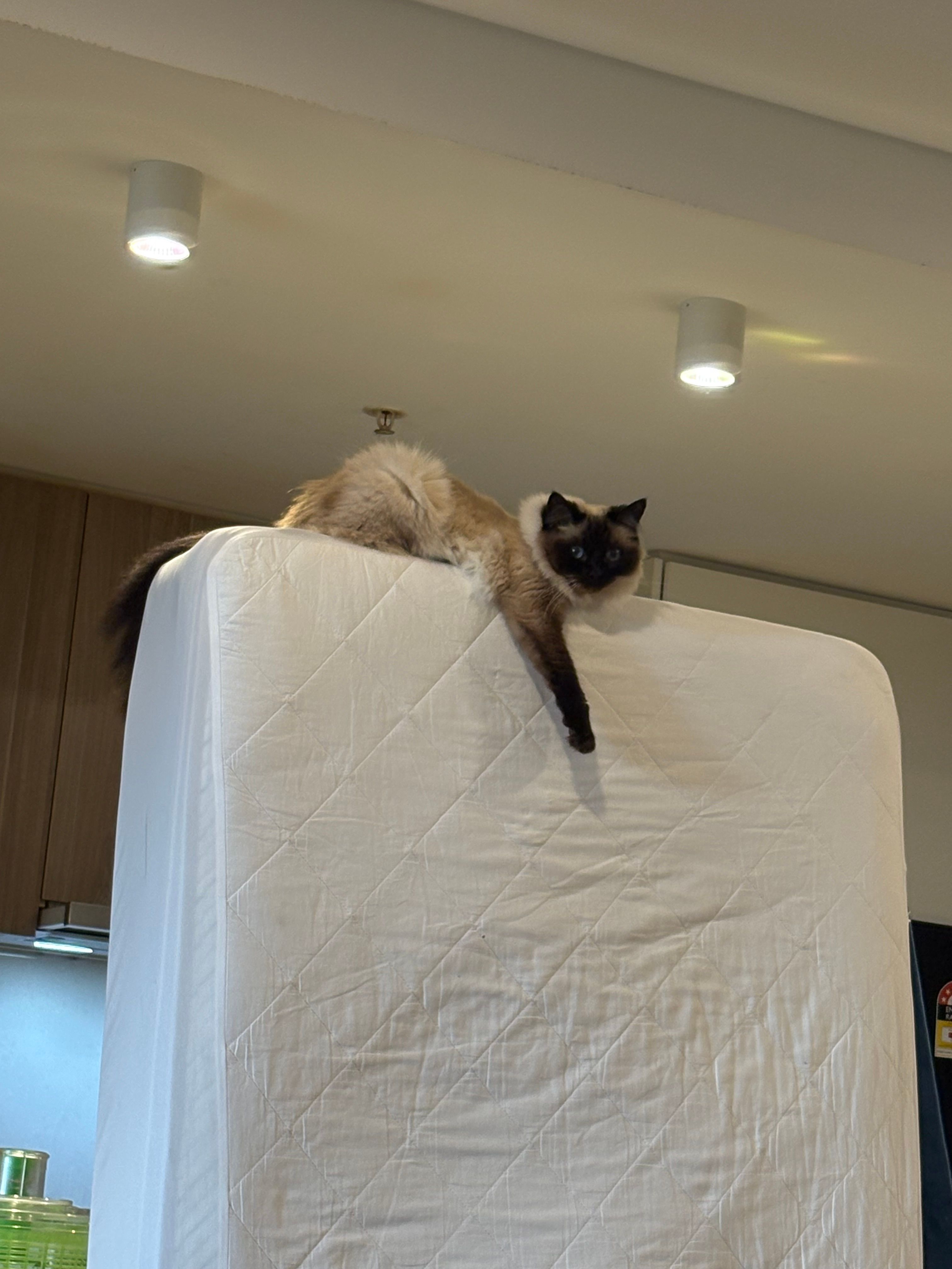 image-2
