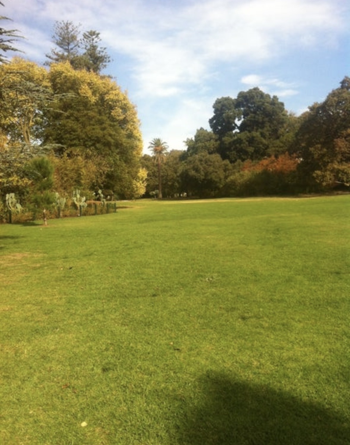 image-11