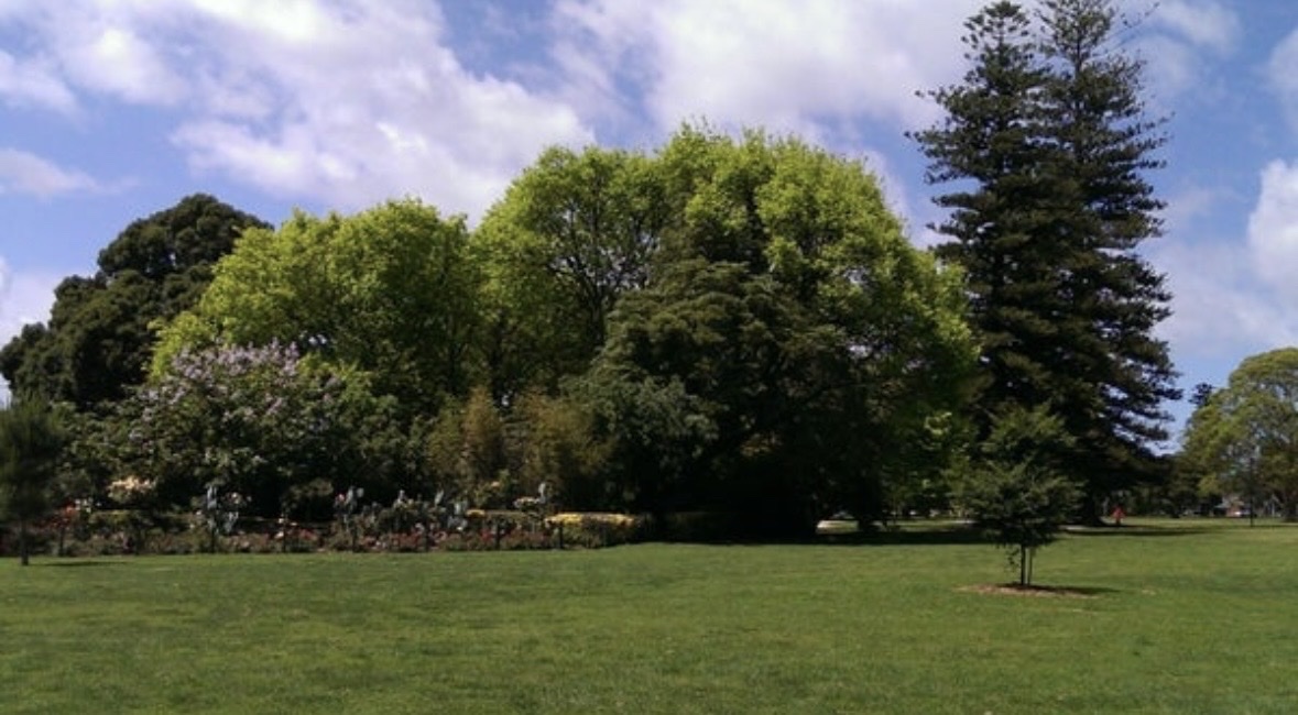 image-12