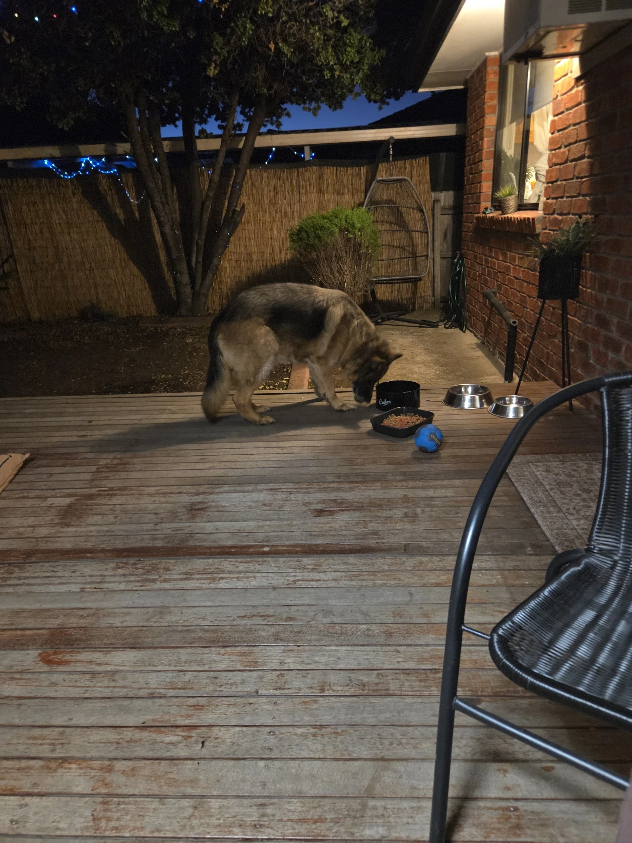 image-10