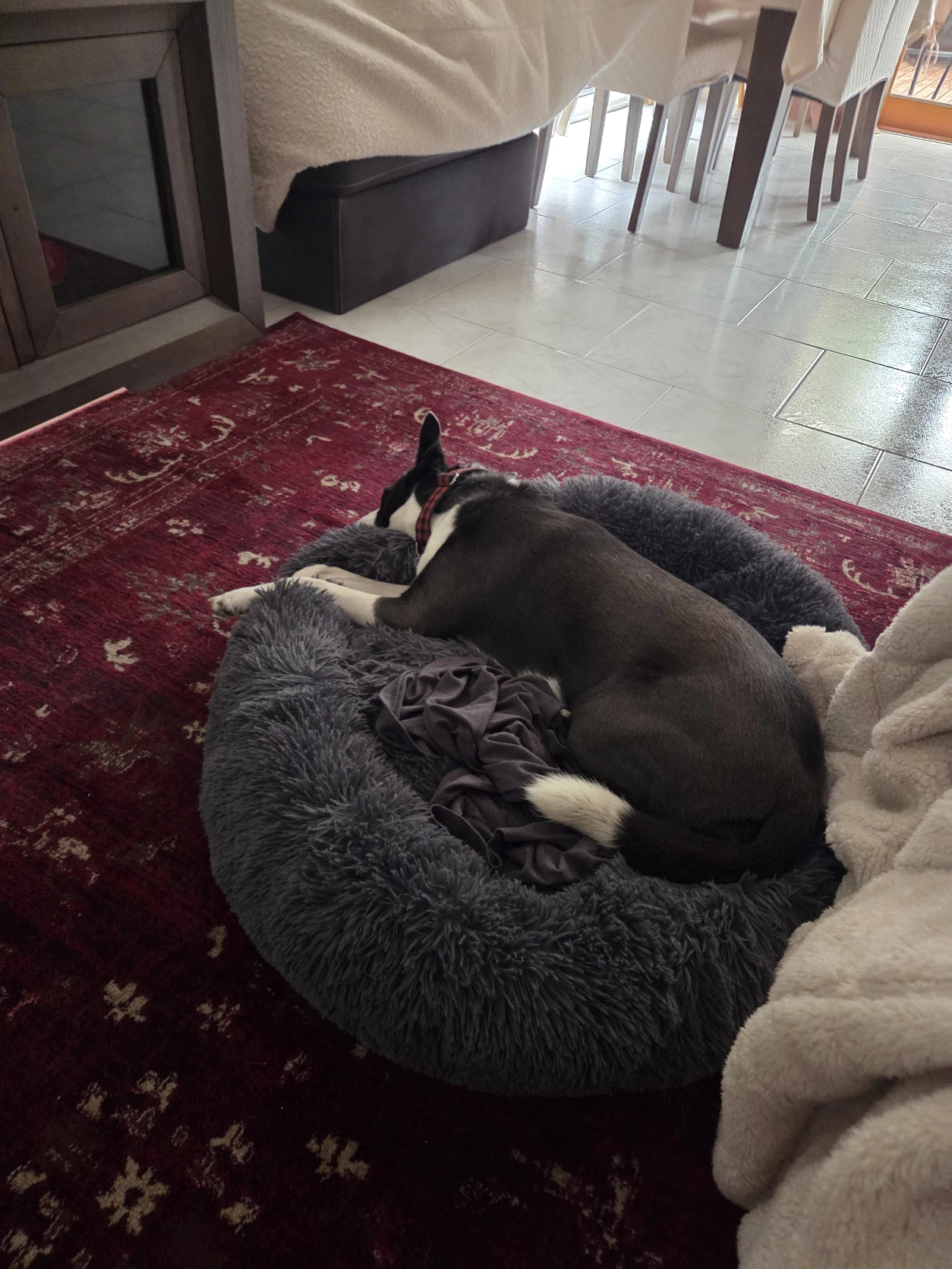 image-13