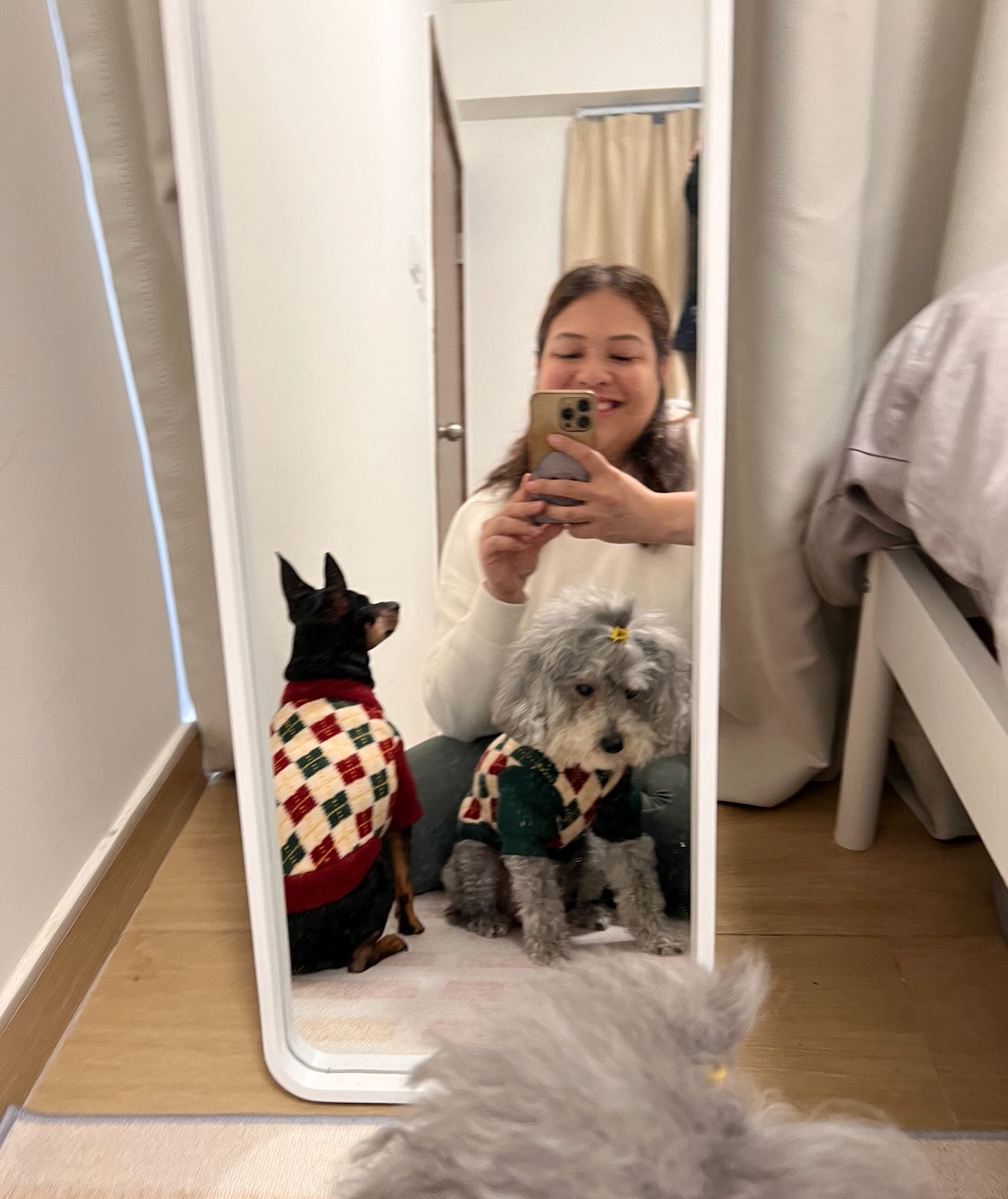 image-11