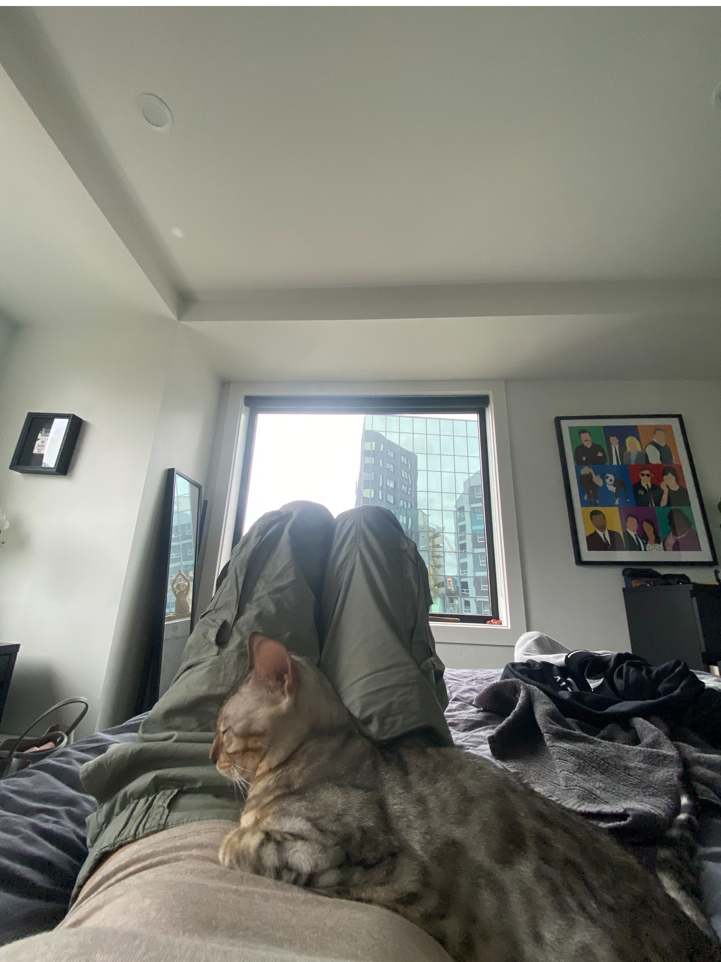 image-9