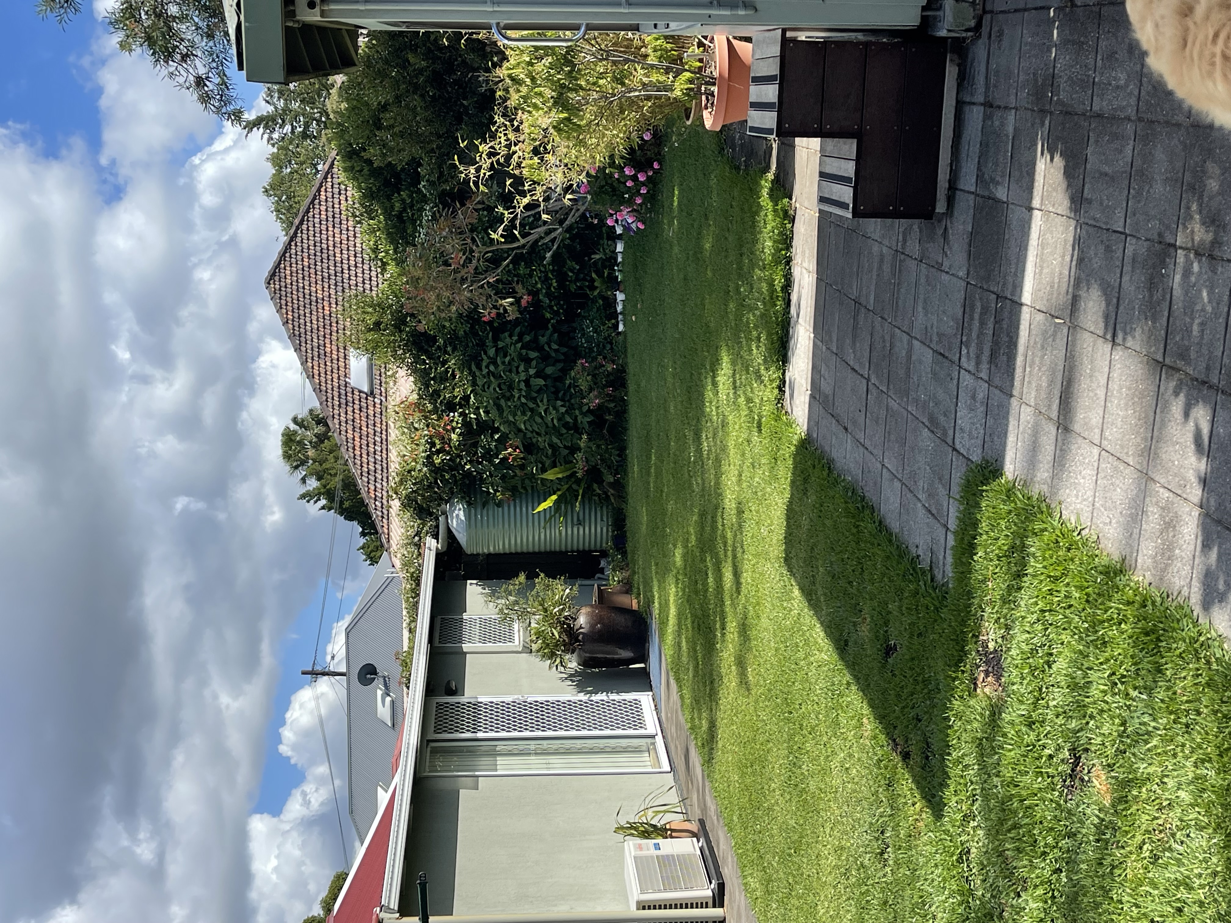 image-19