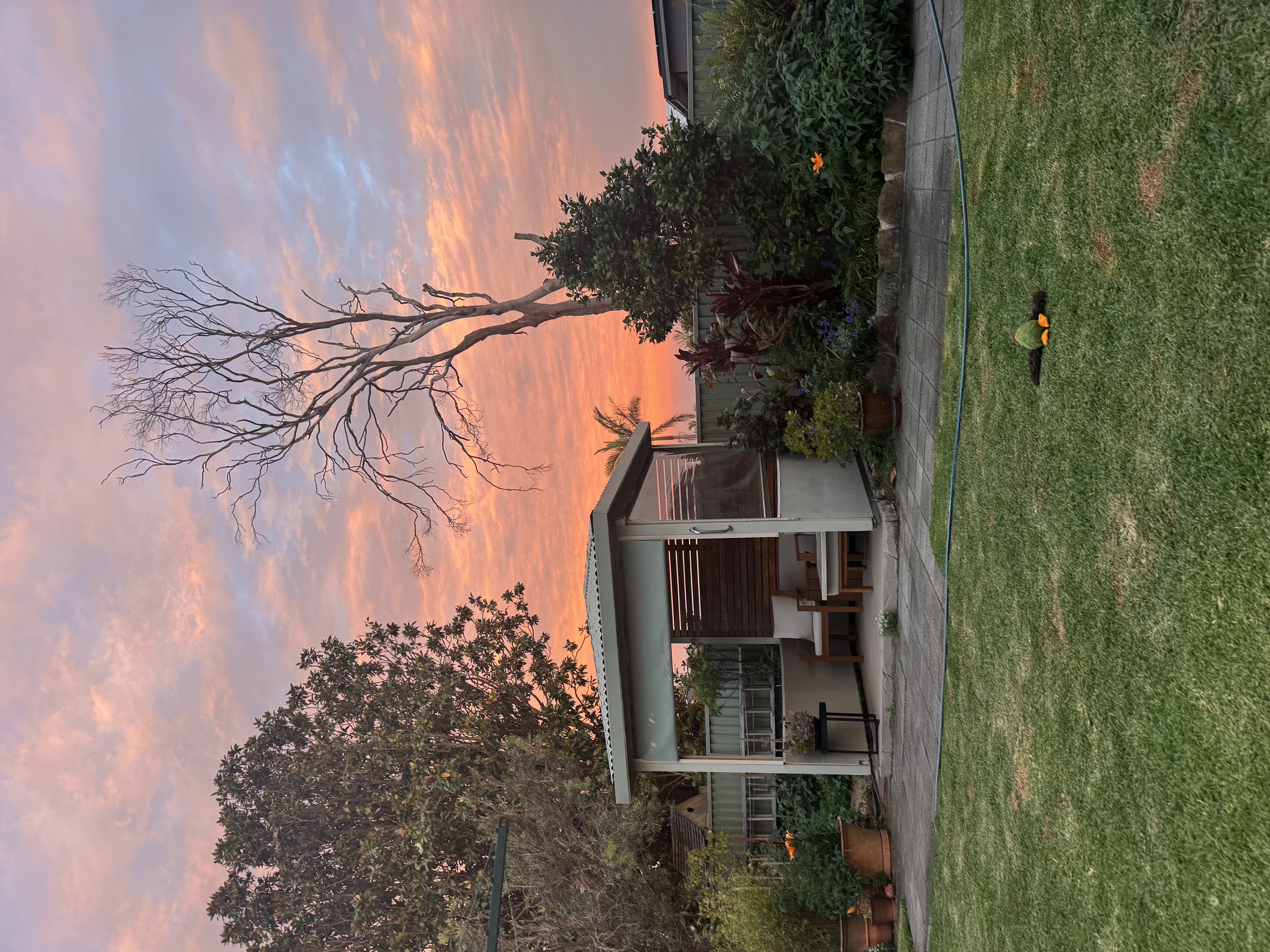 image-17