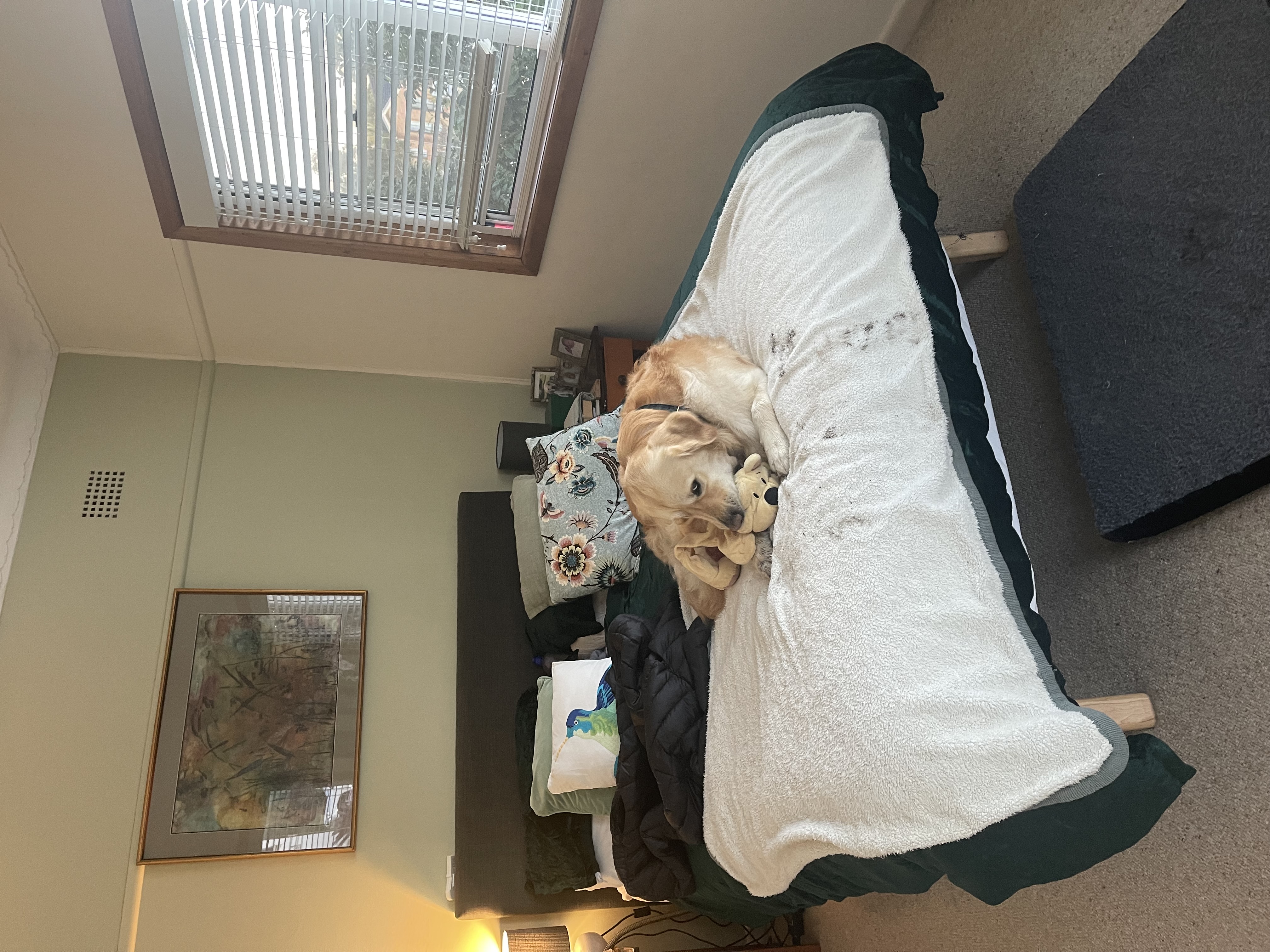image-20