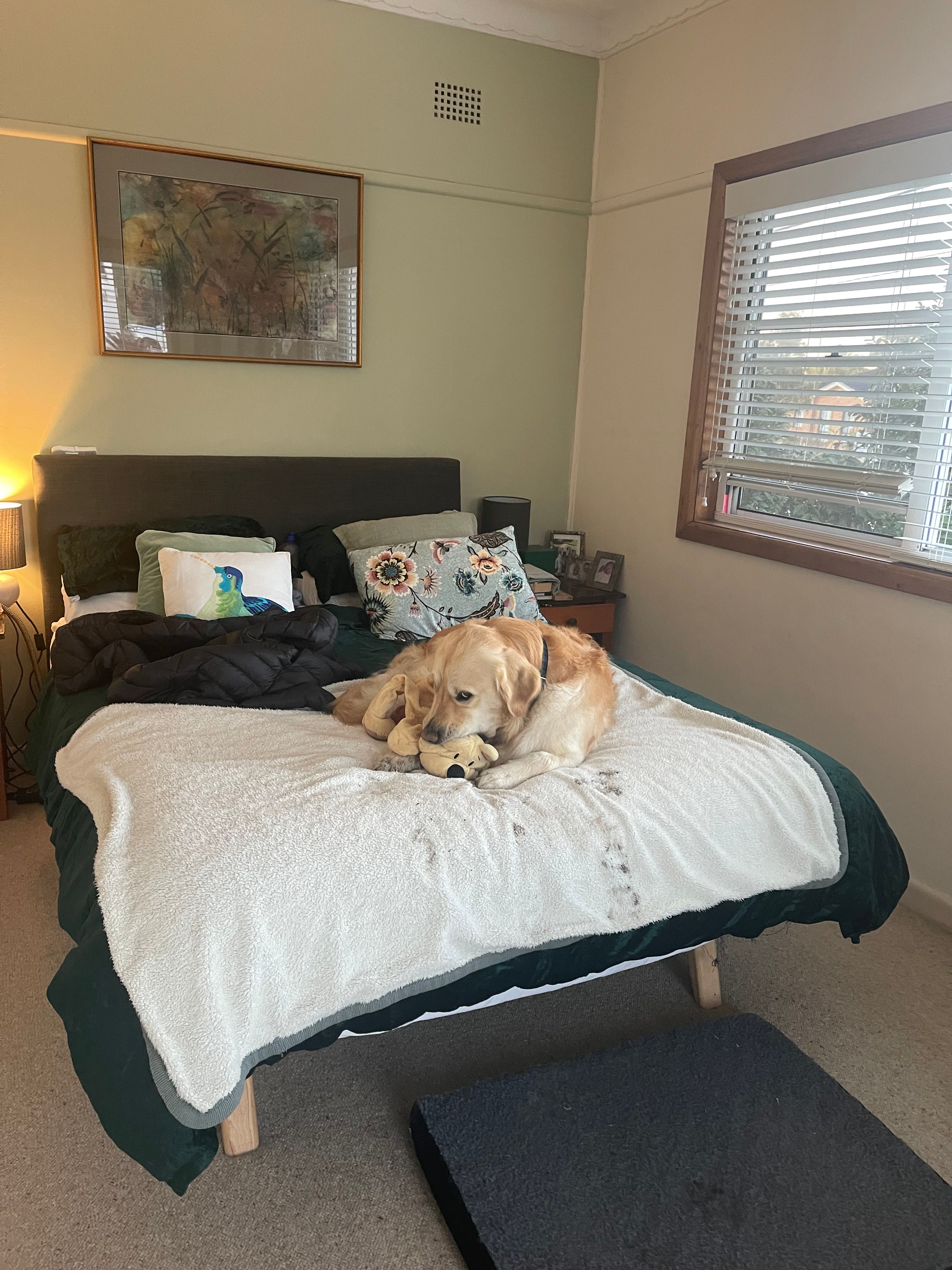 image-20
