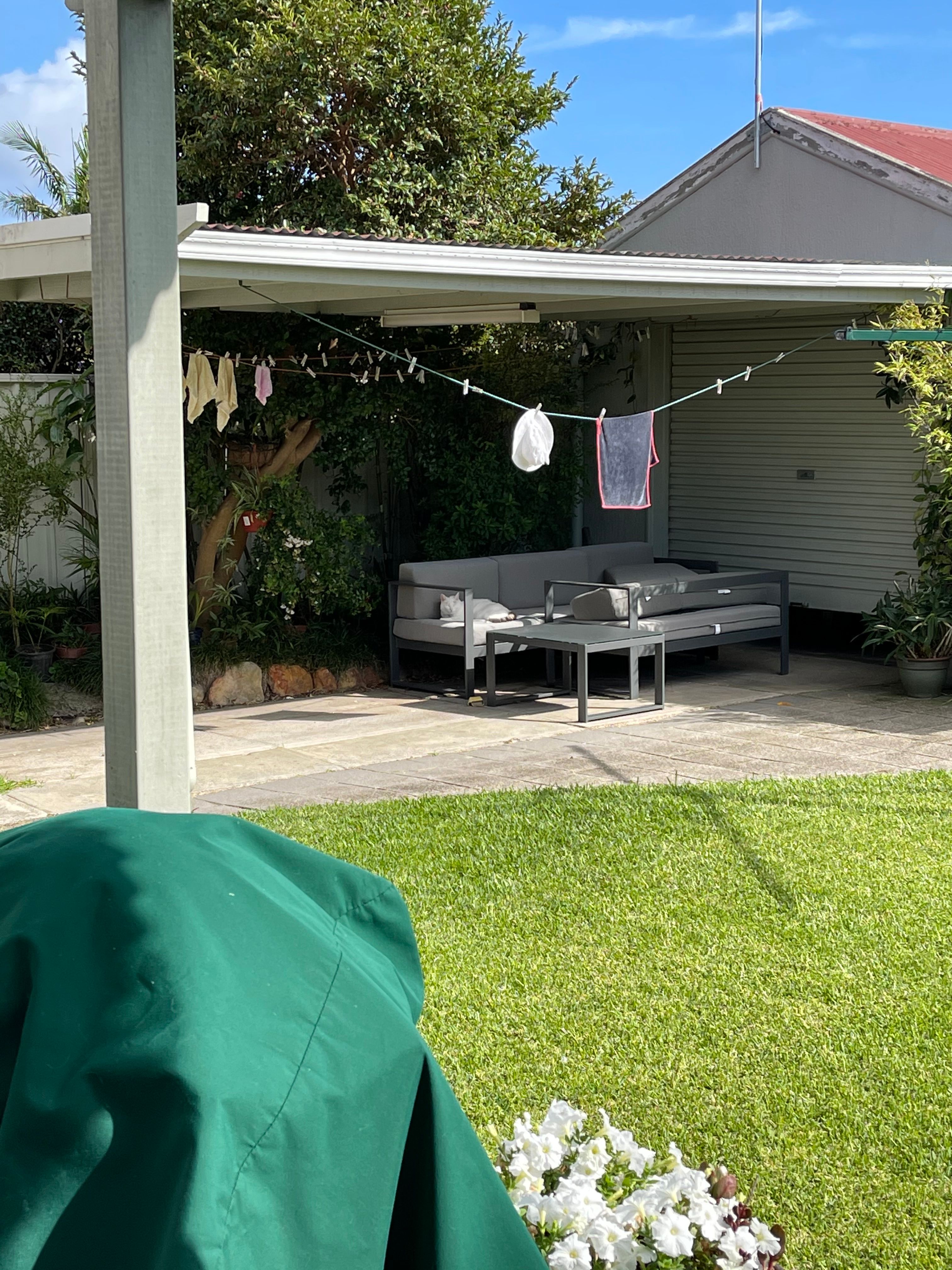 image-18