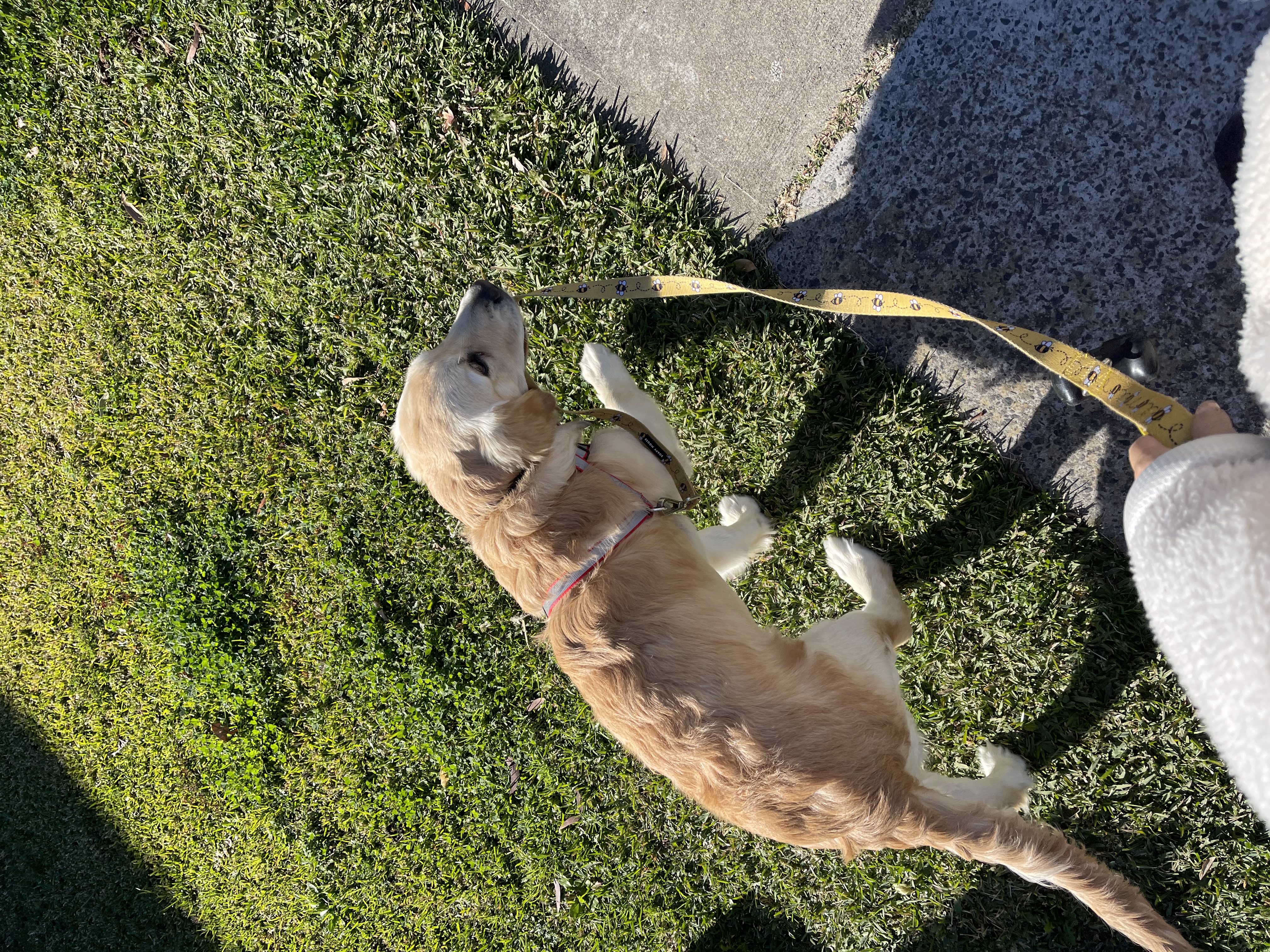 image-9