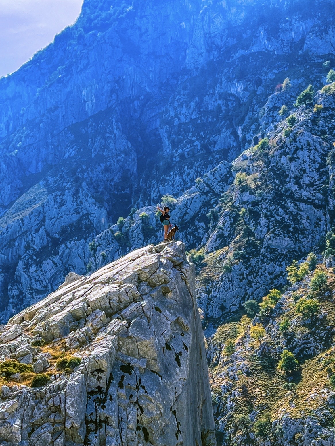 image-9