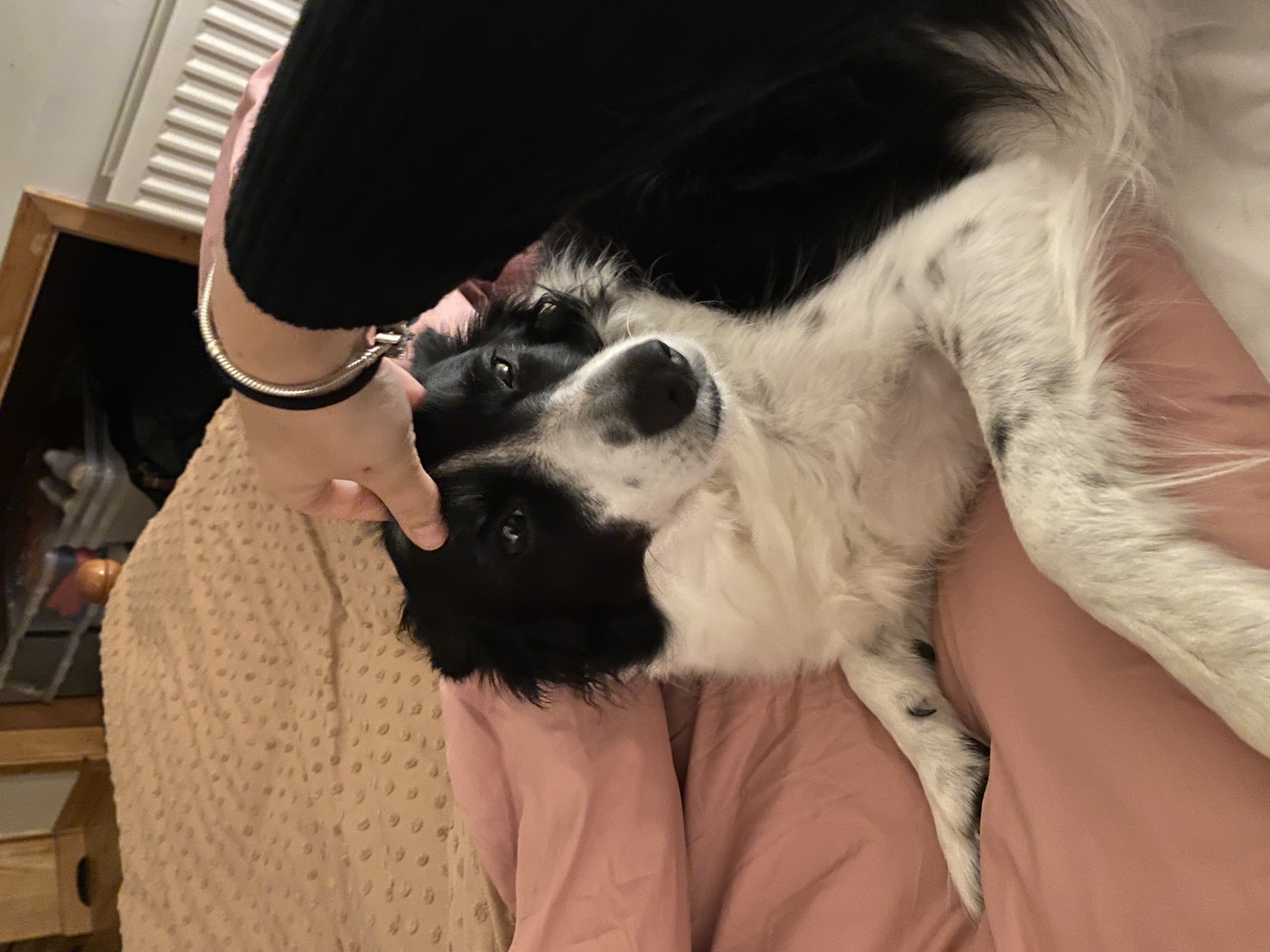 image-8