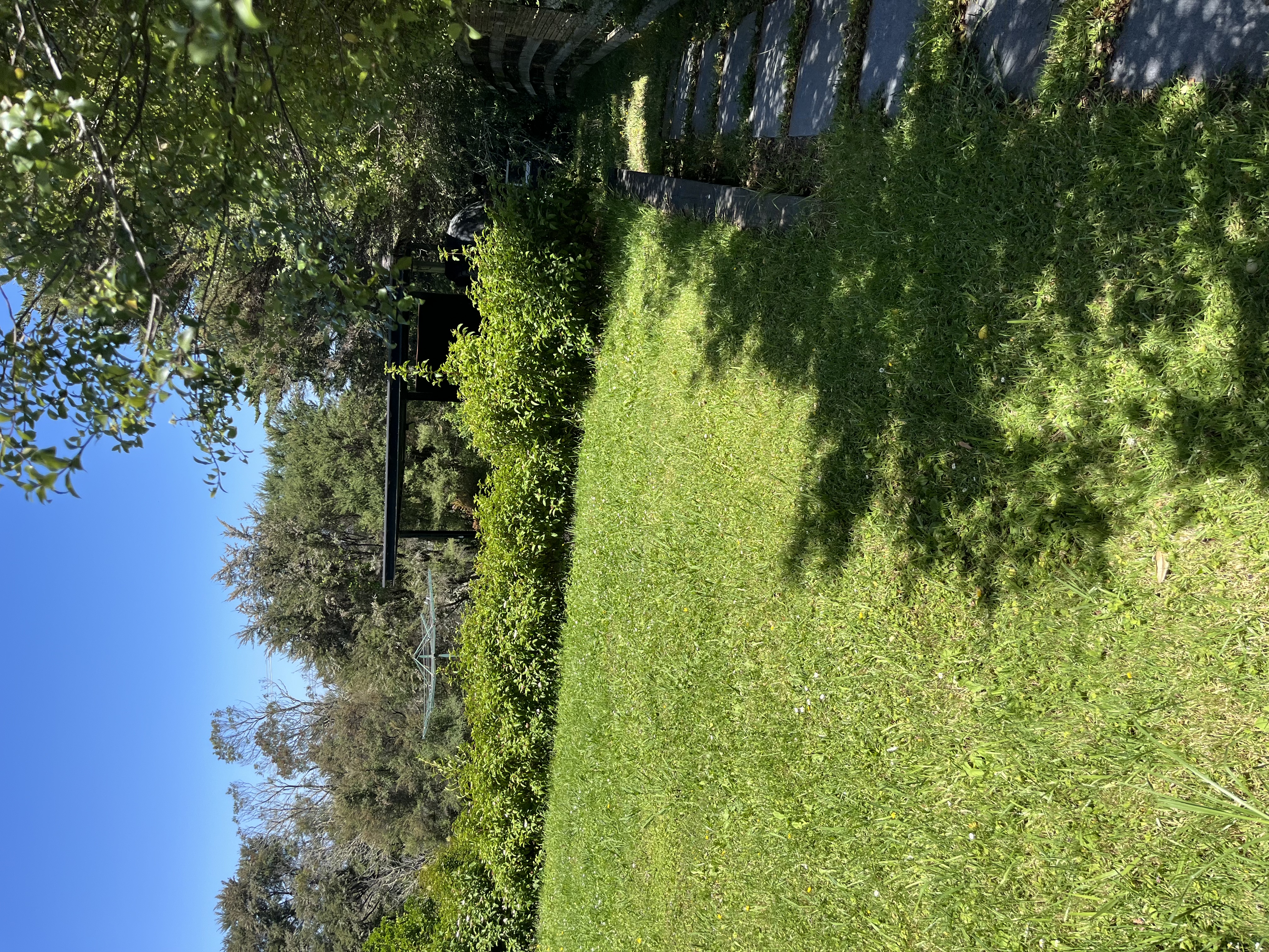 image-20