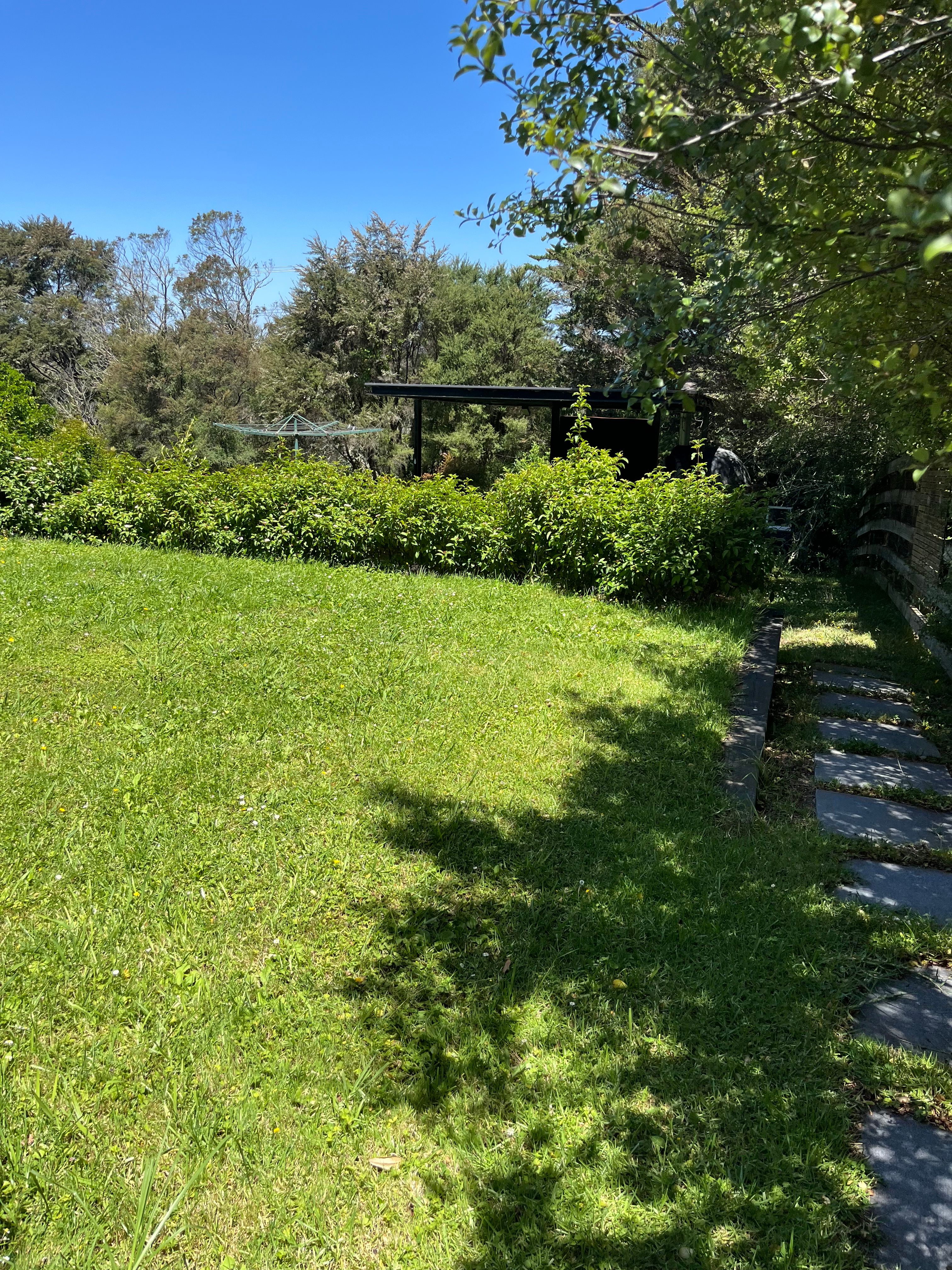 image-20