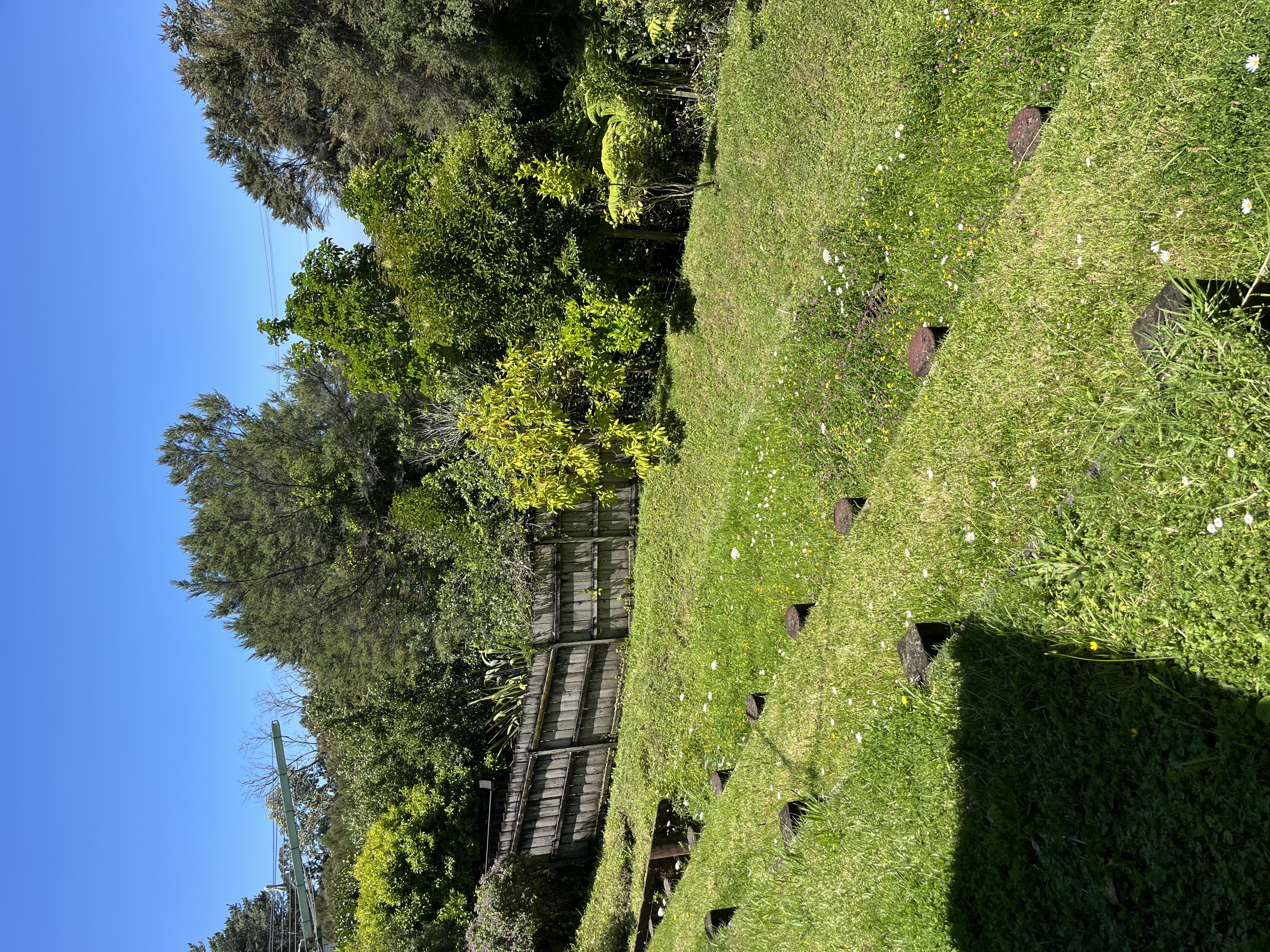 image-19