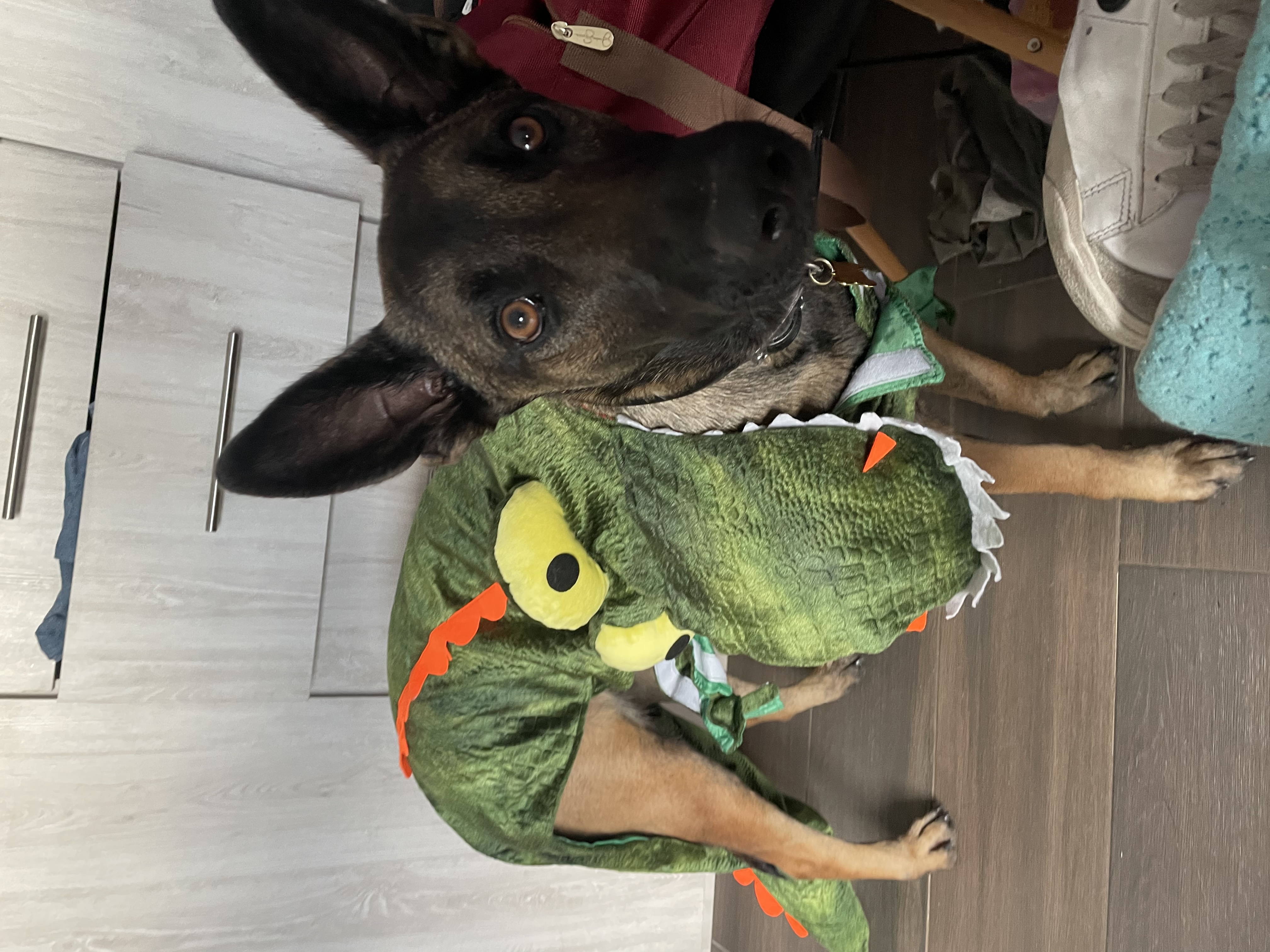 image-11