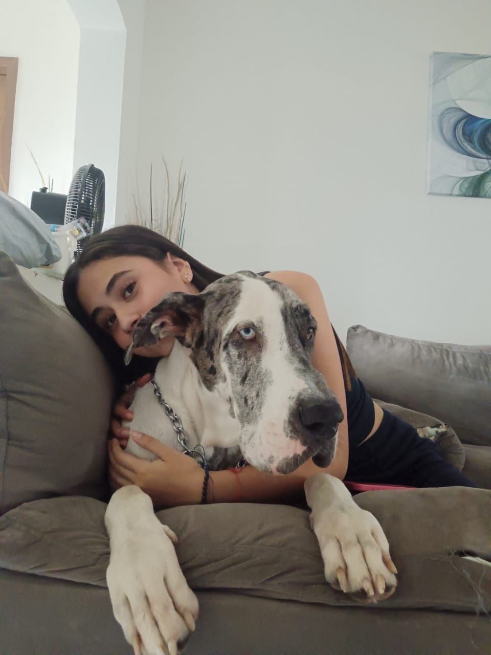 image-7