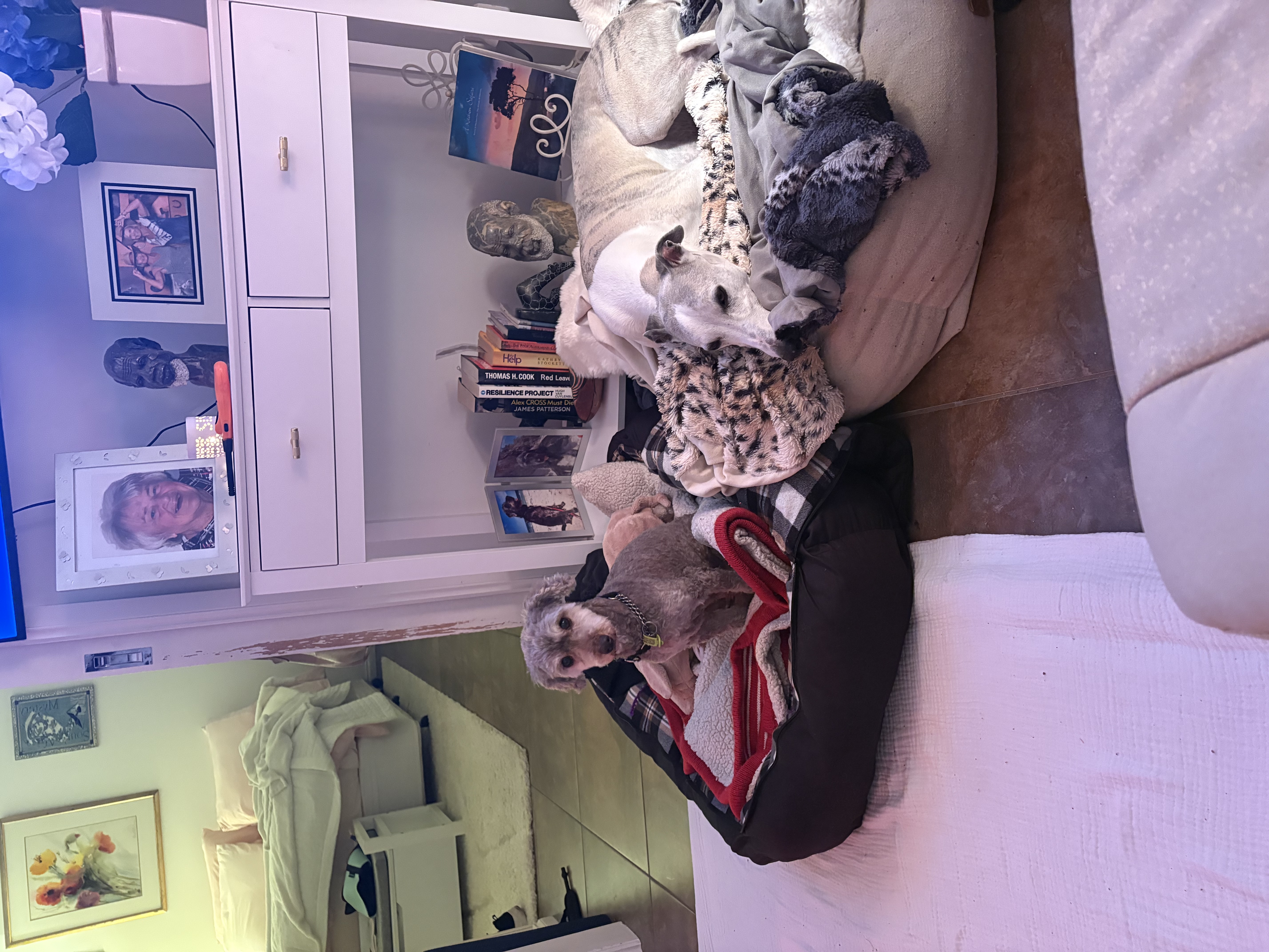 image-5