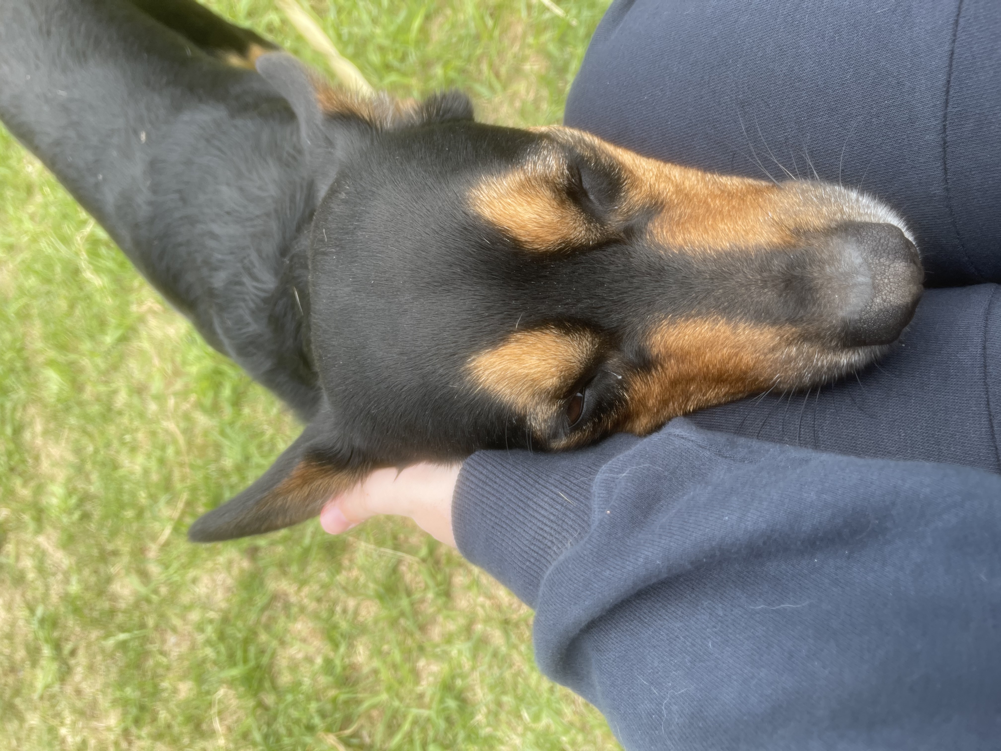 image-10