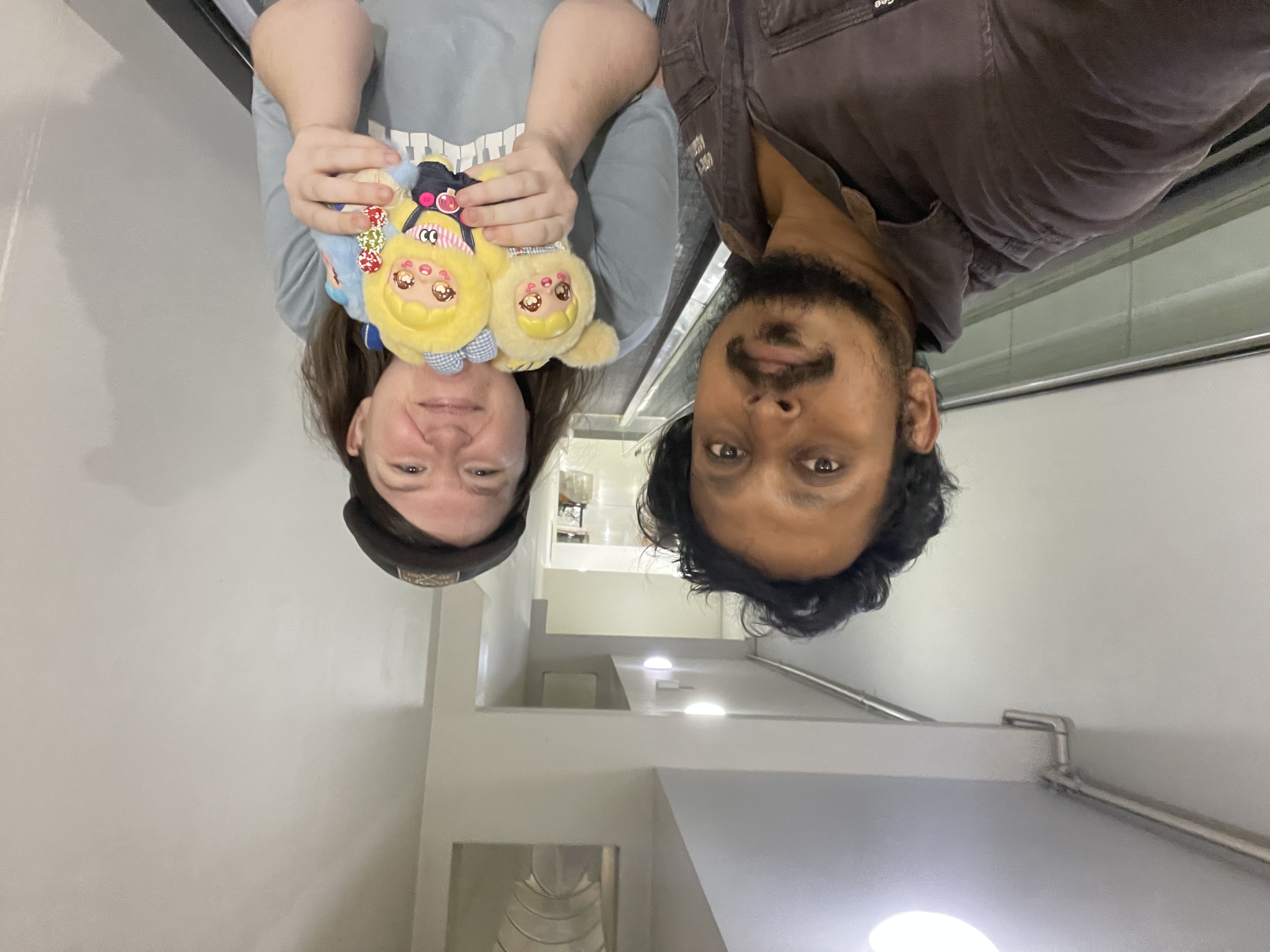image-6