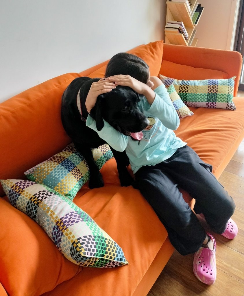 image-27