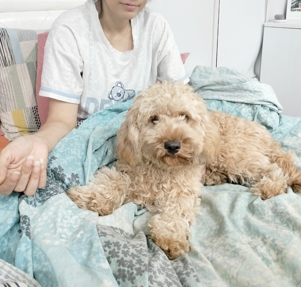 image-42