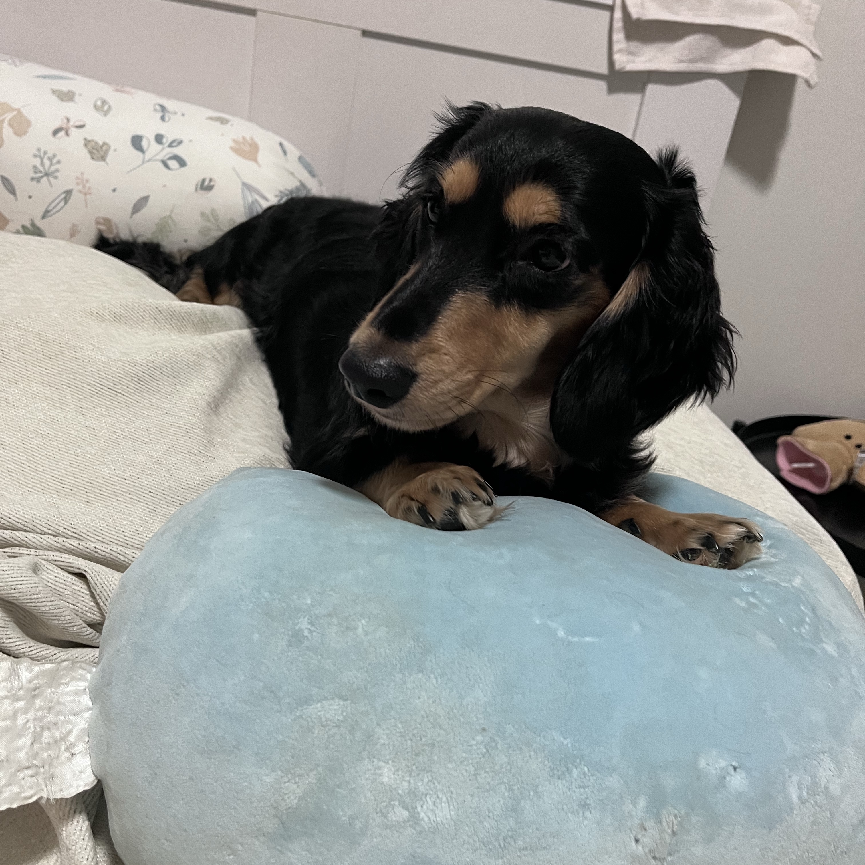 Max