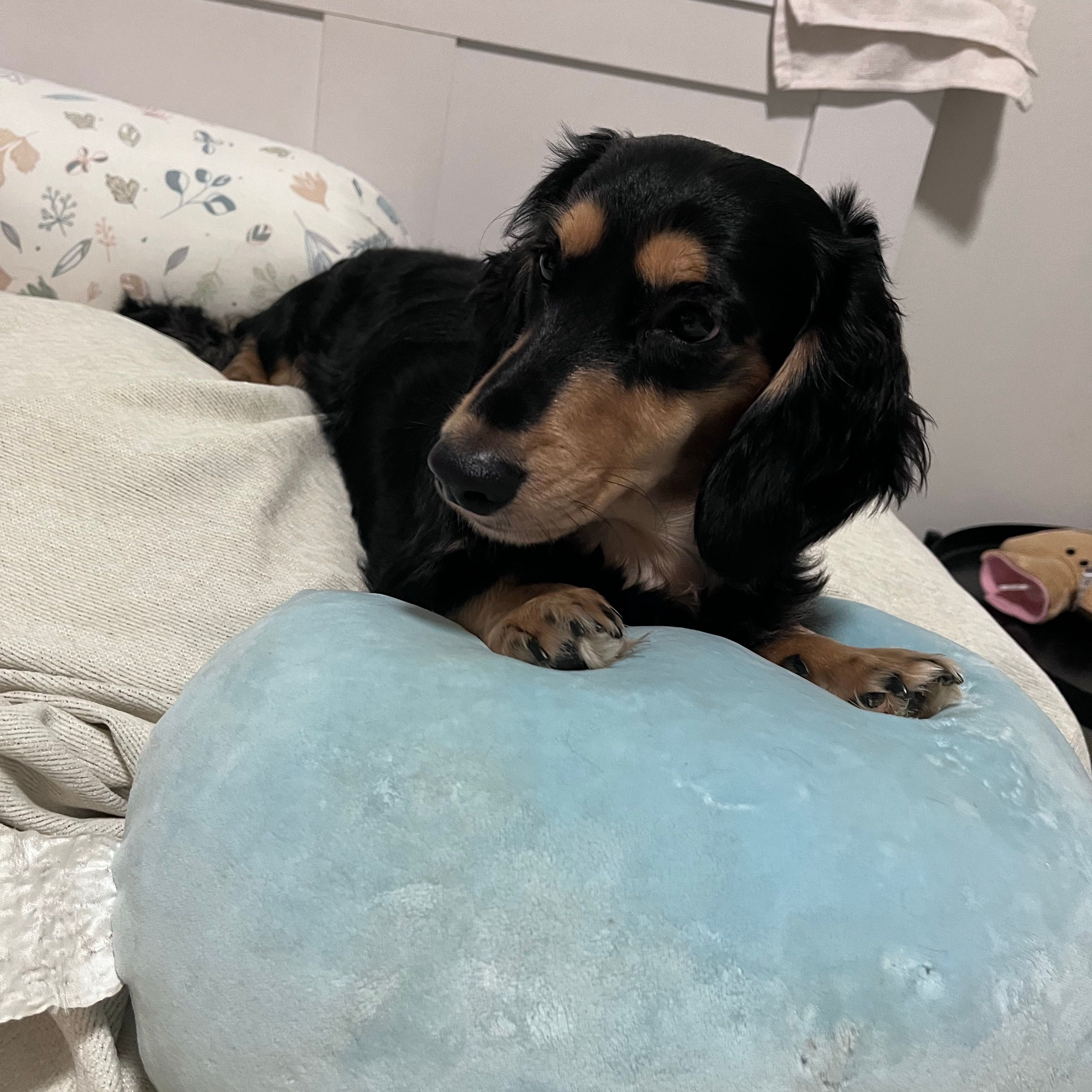 Max