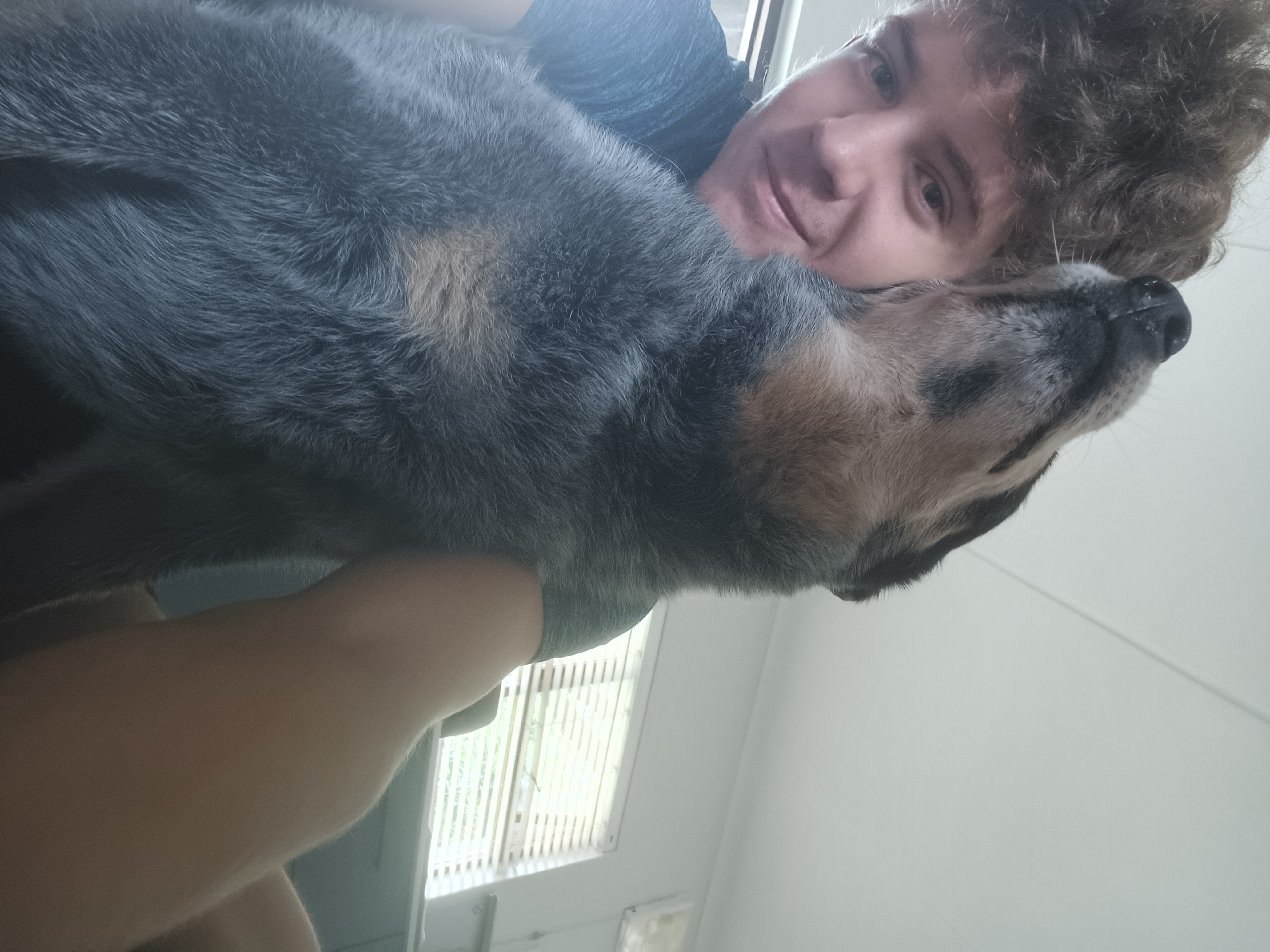 image-8