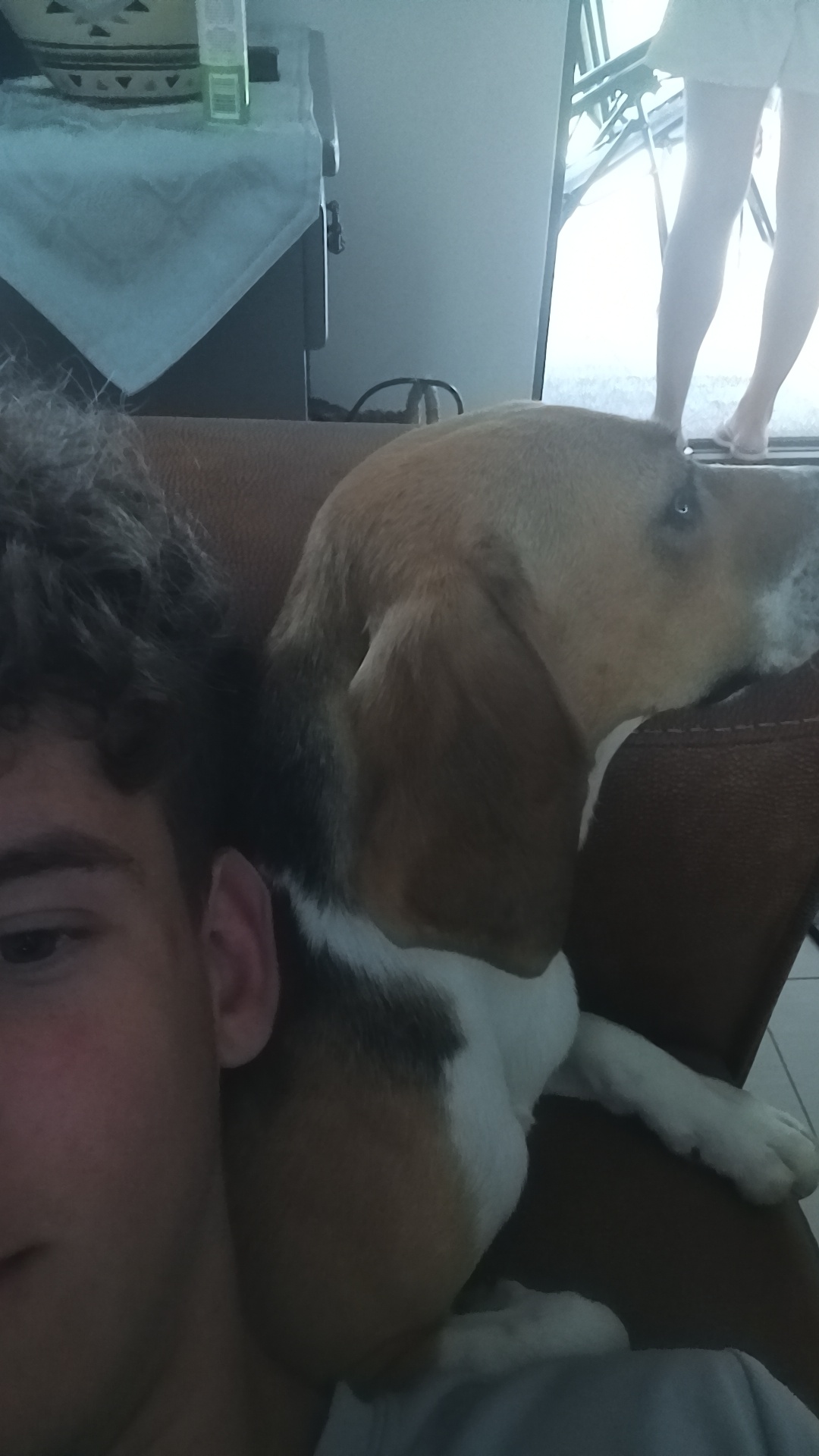 image-3