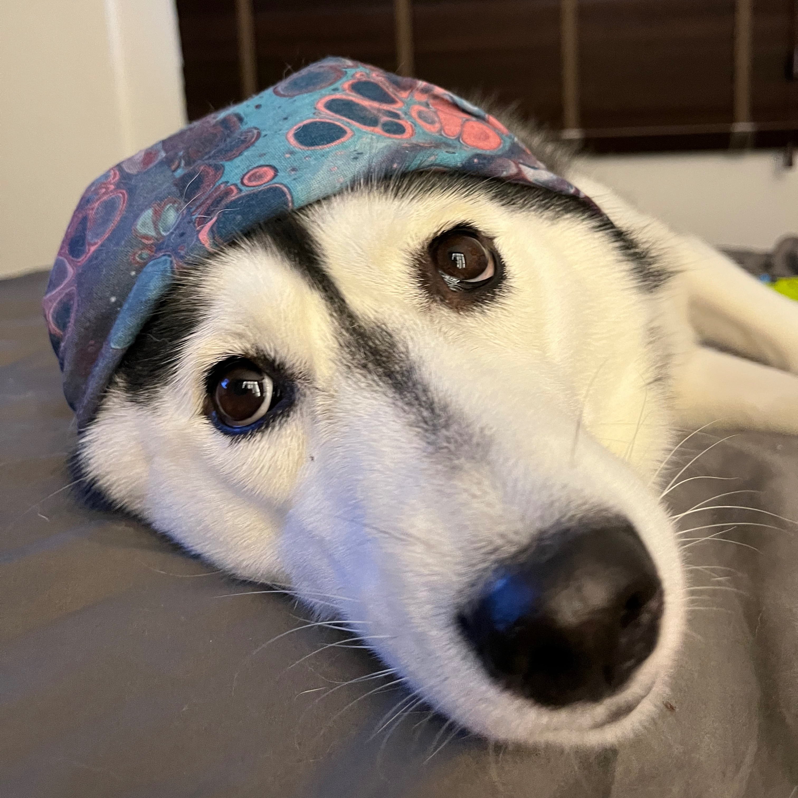 Luna