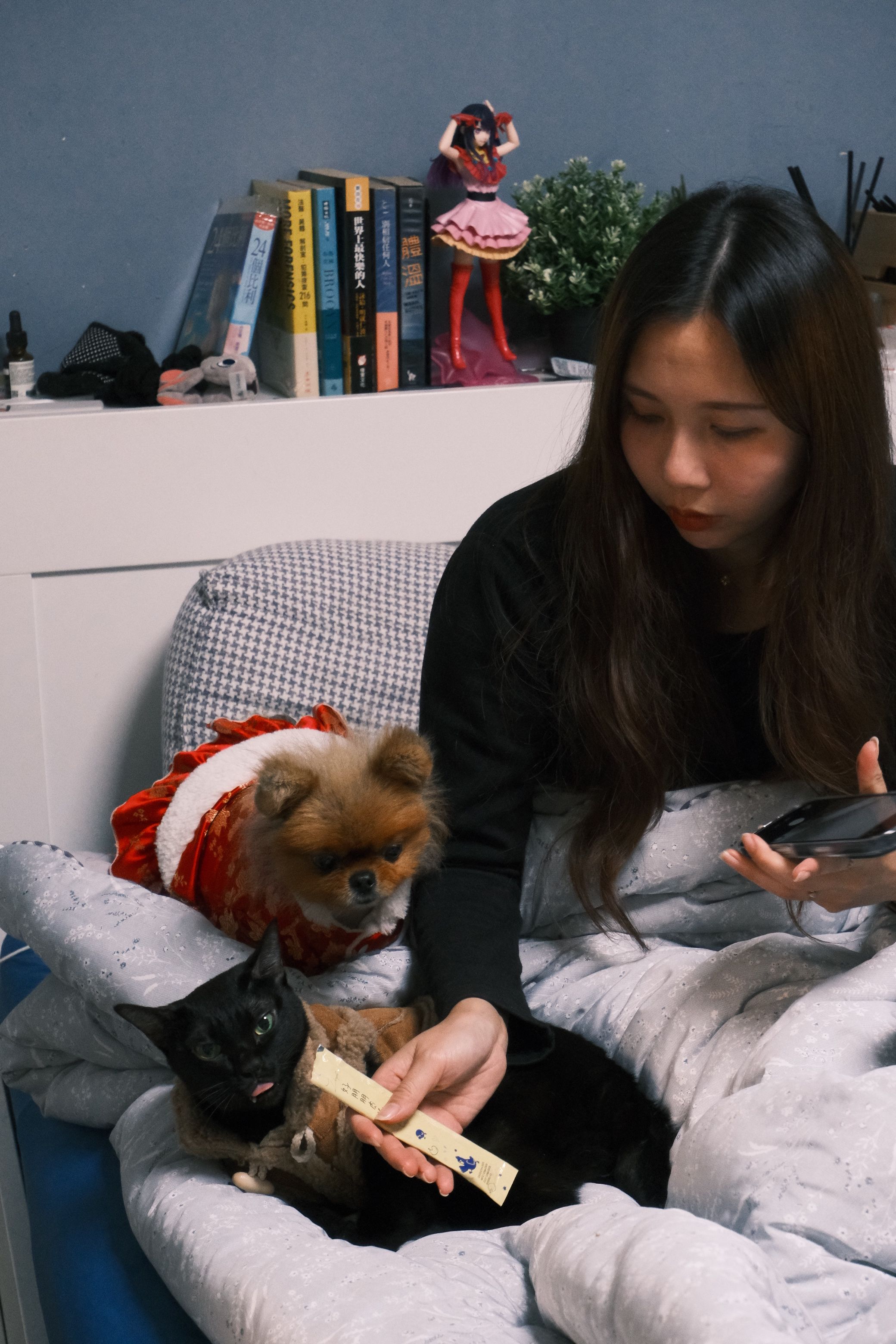 image-8