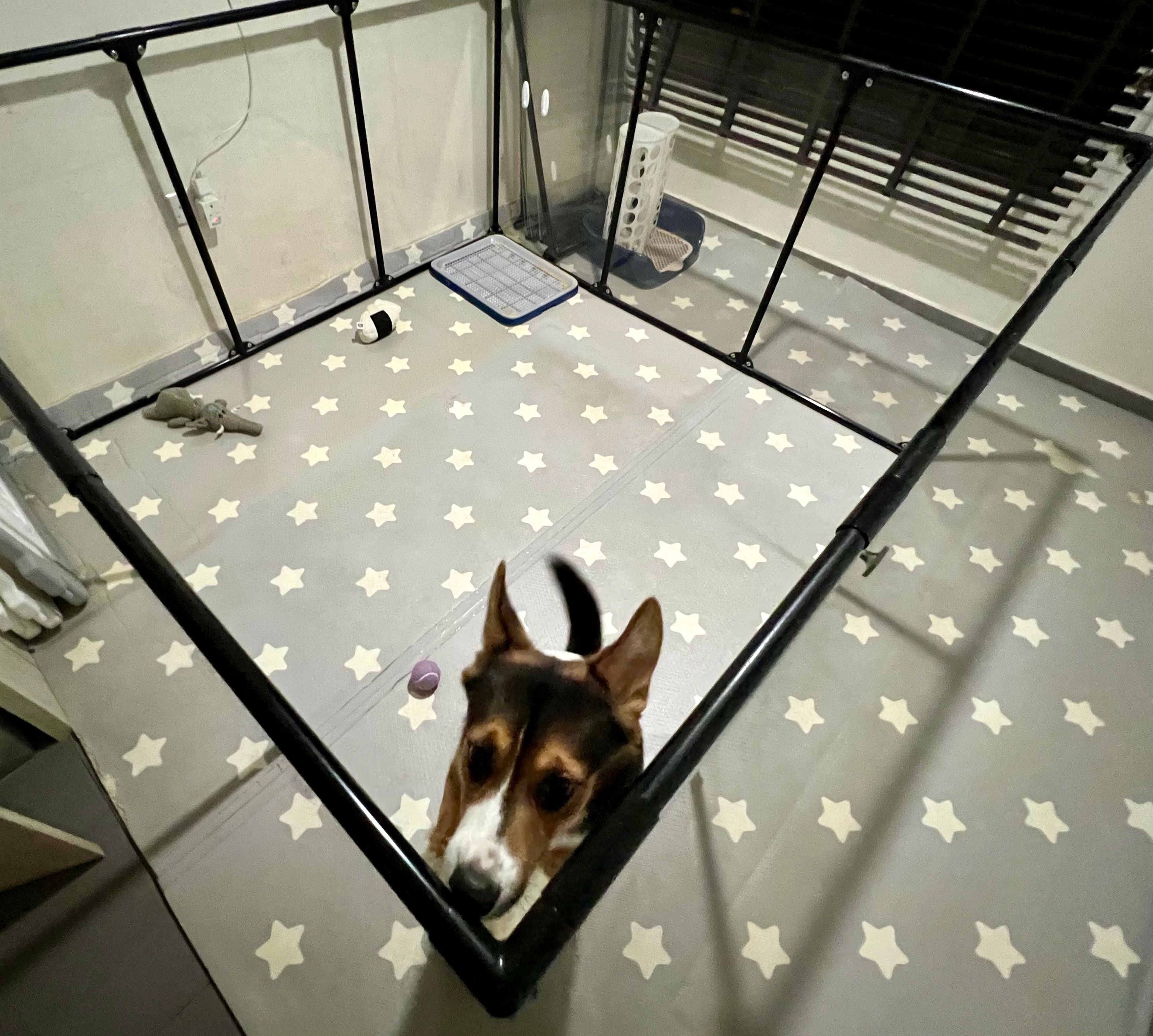 image-7