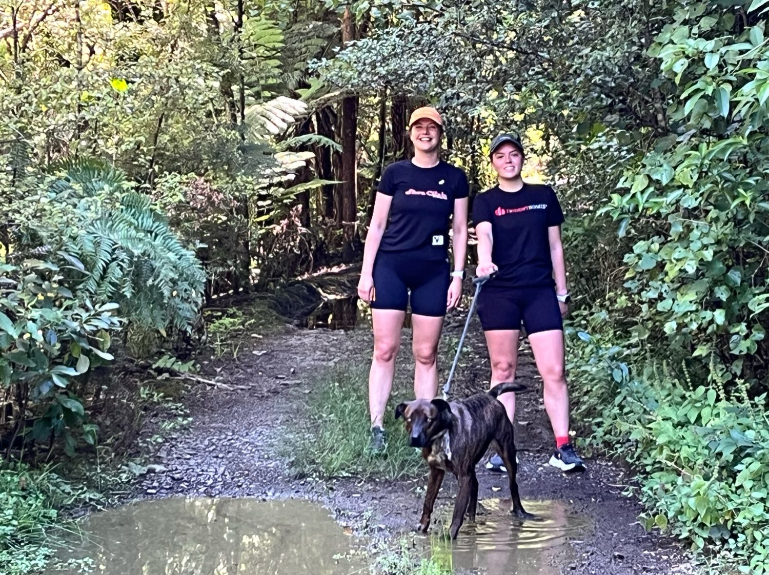 image-7