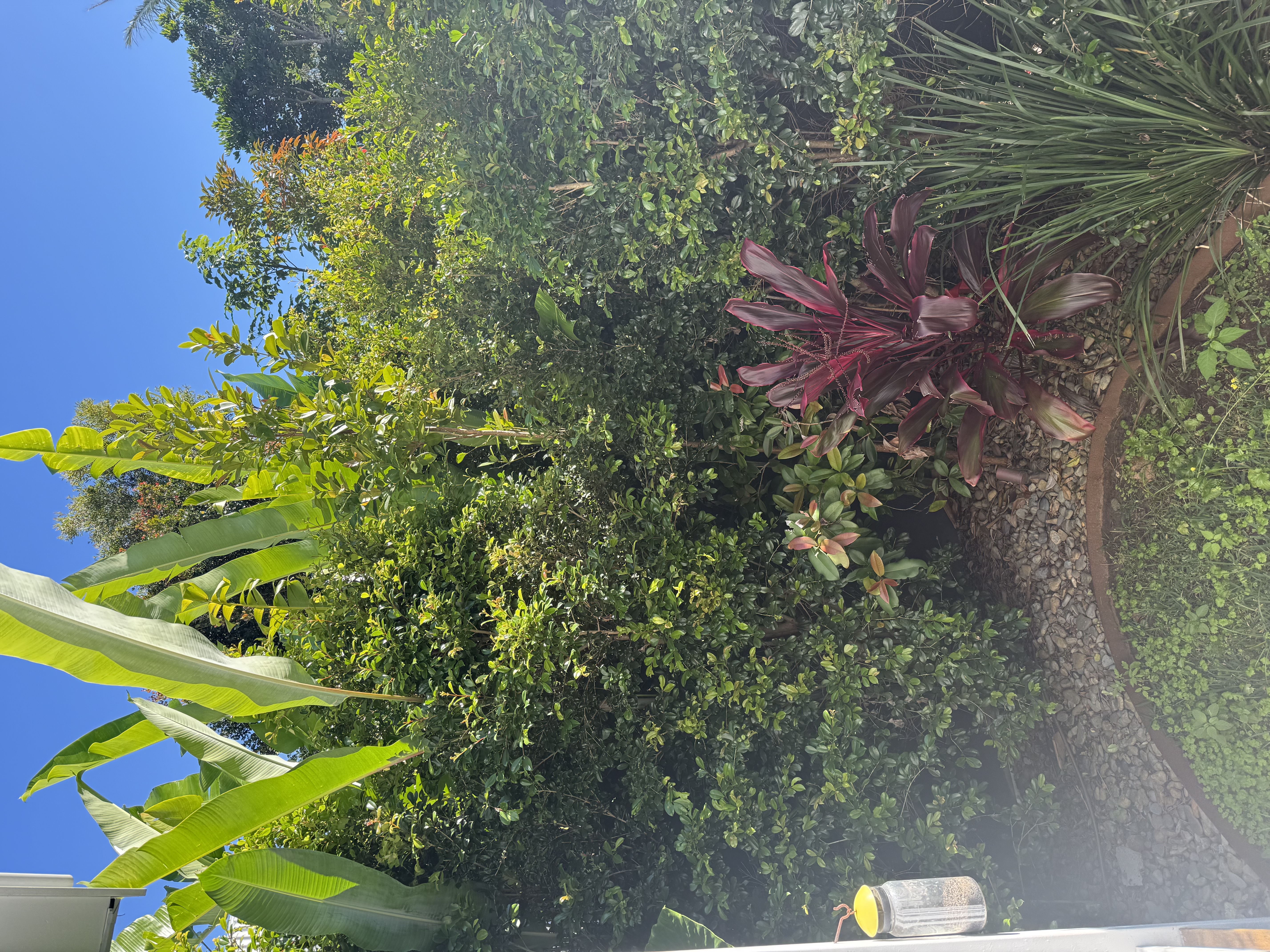image-16