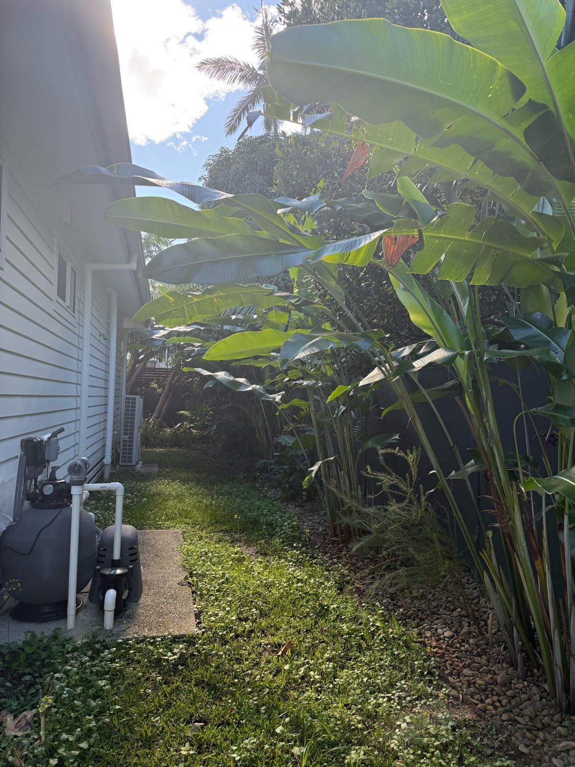 image-17
