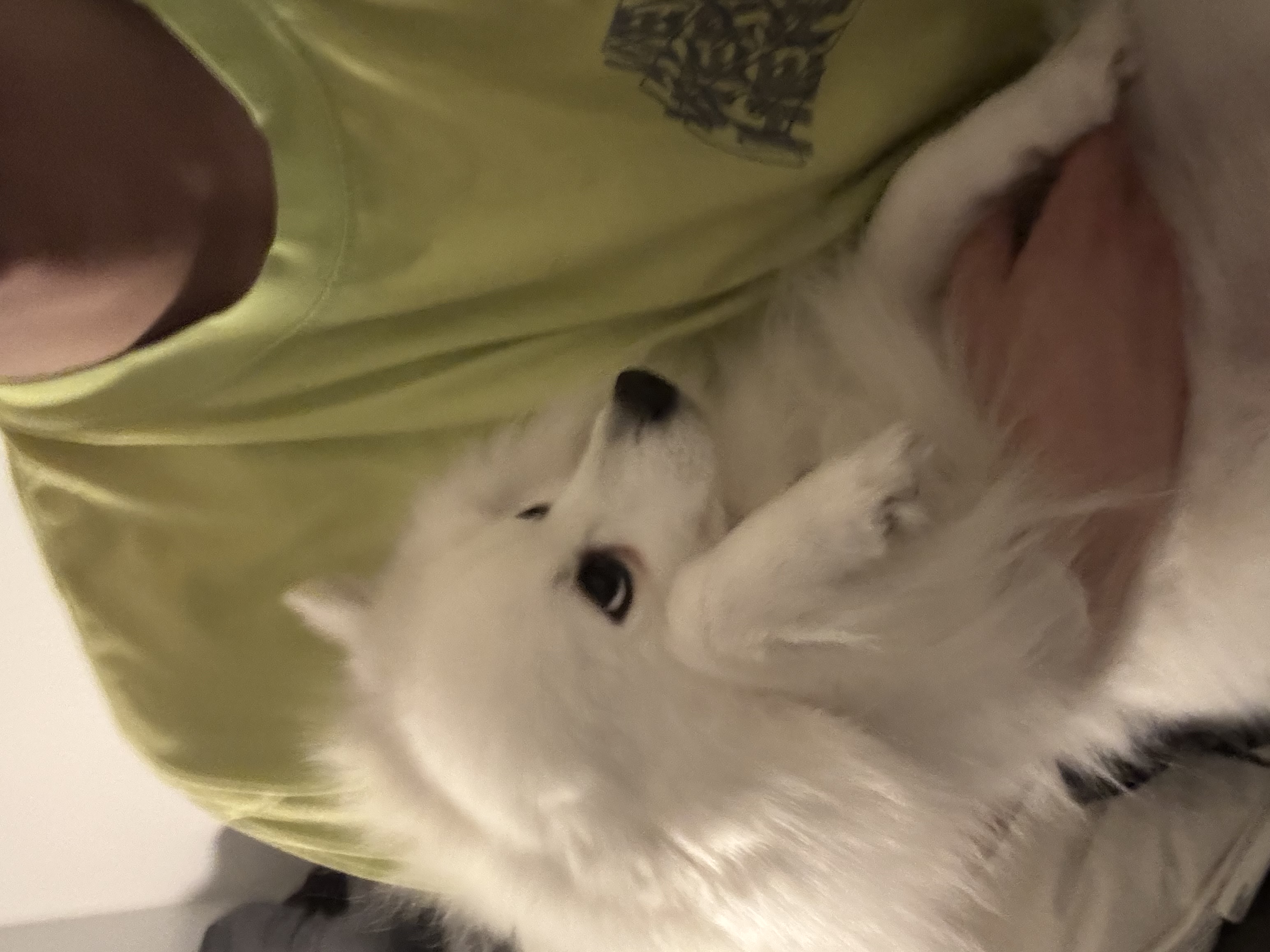 image-6
