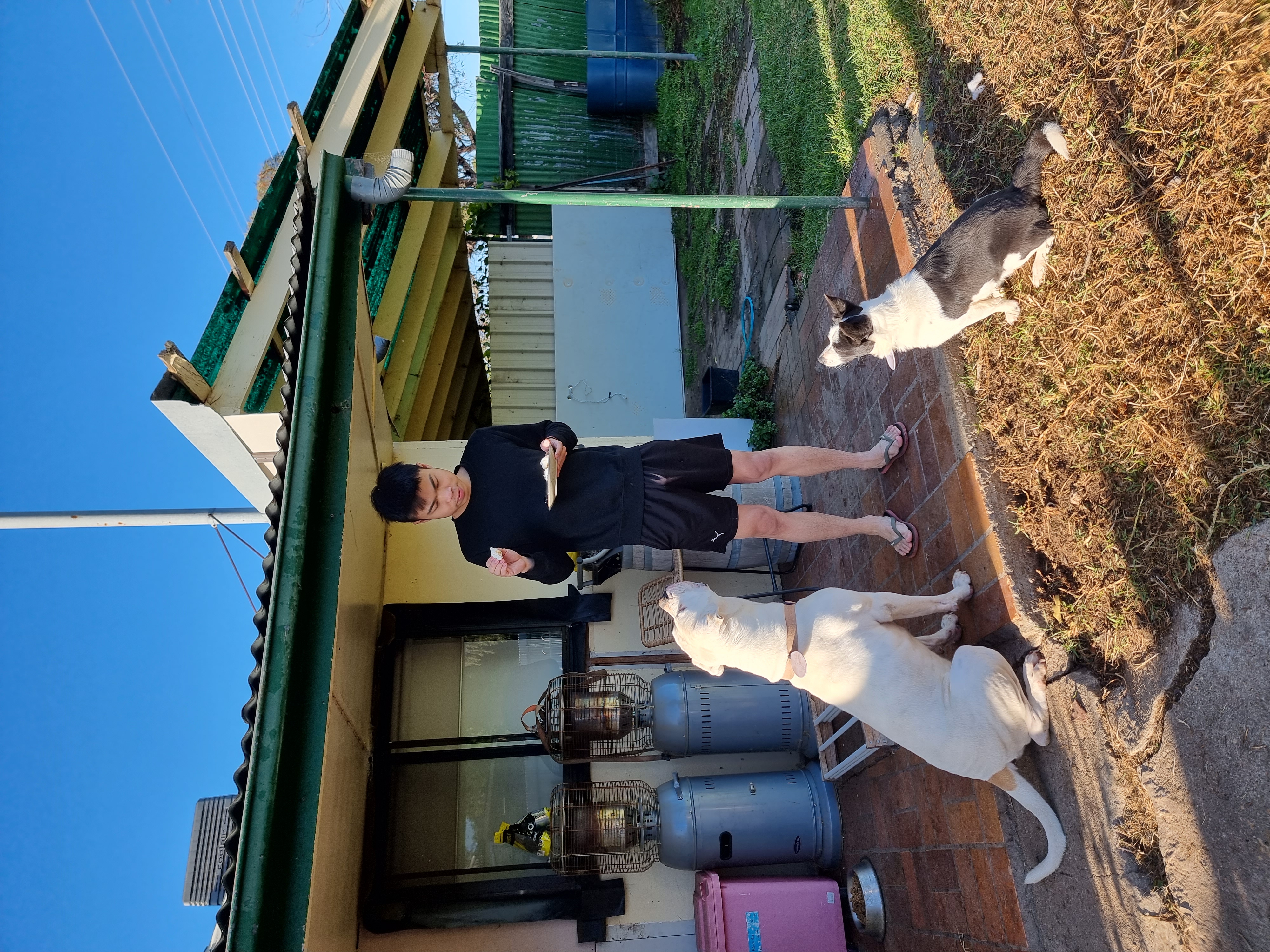 image-15