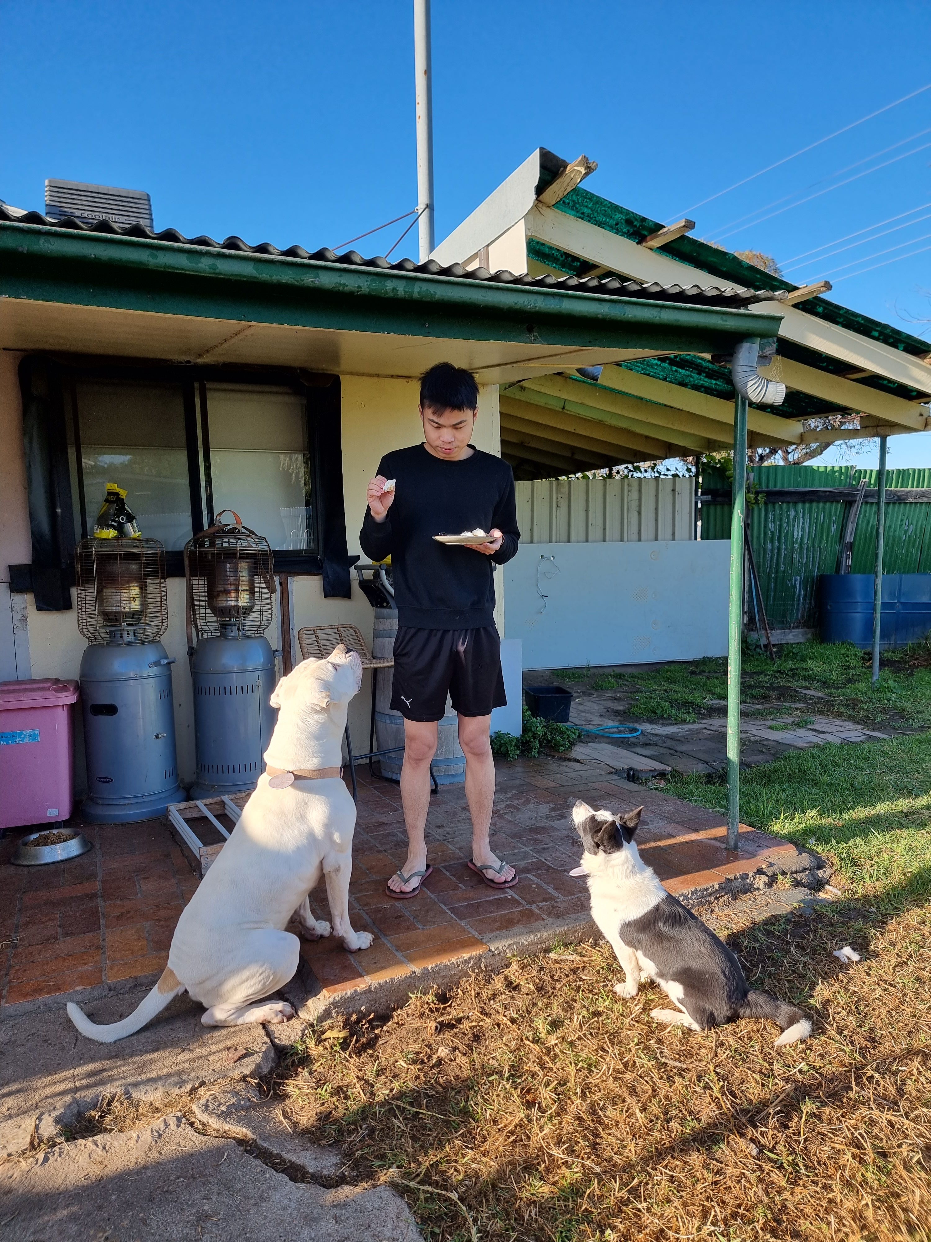 image-15