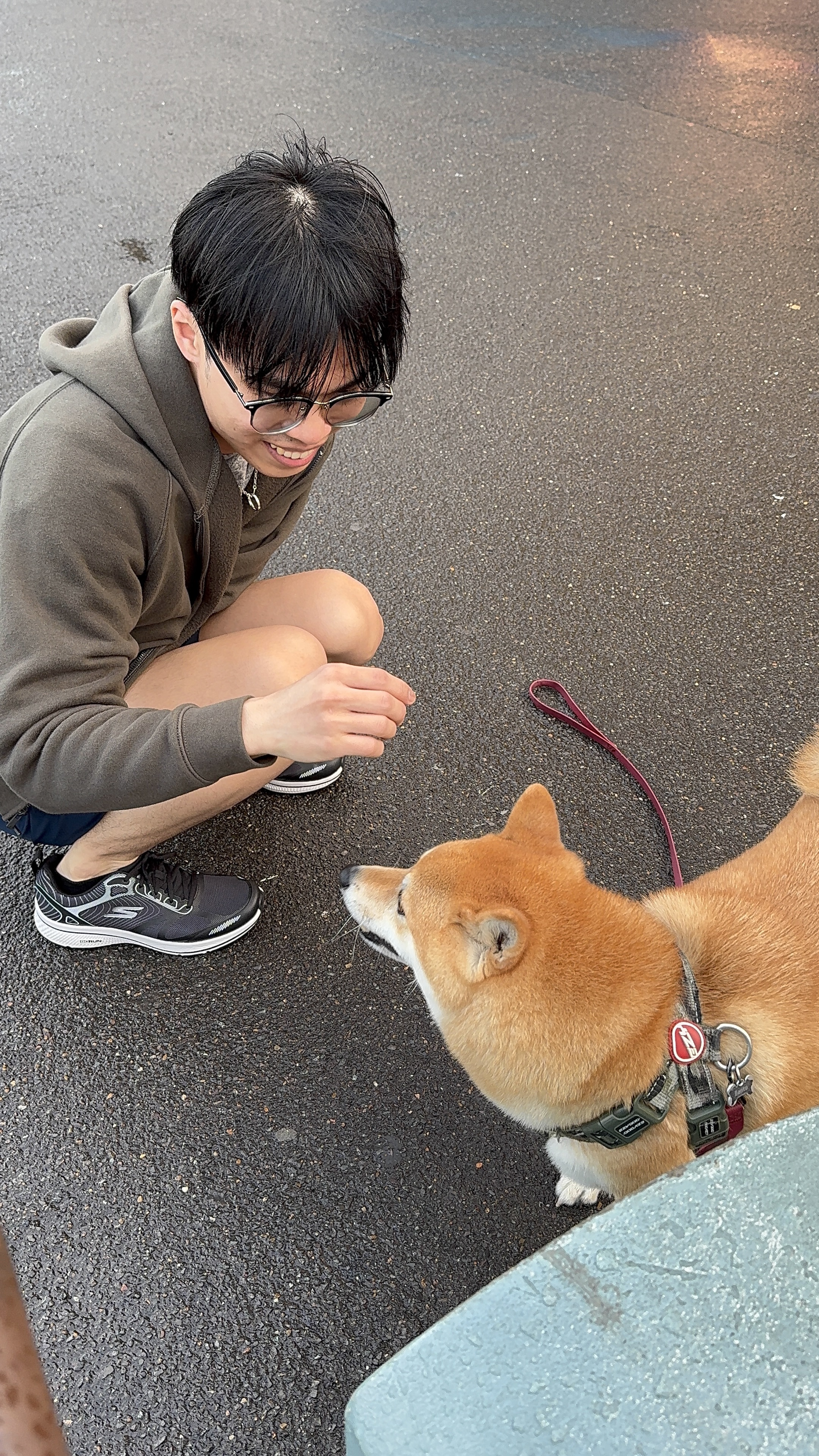 image-7