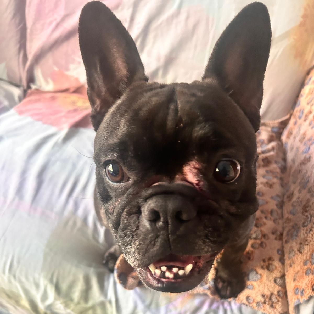 Betty