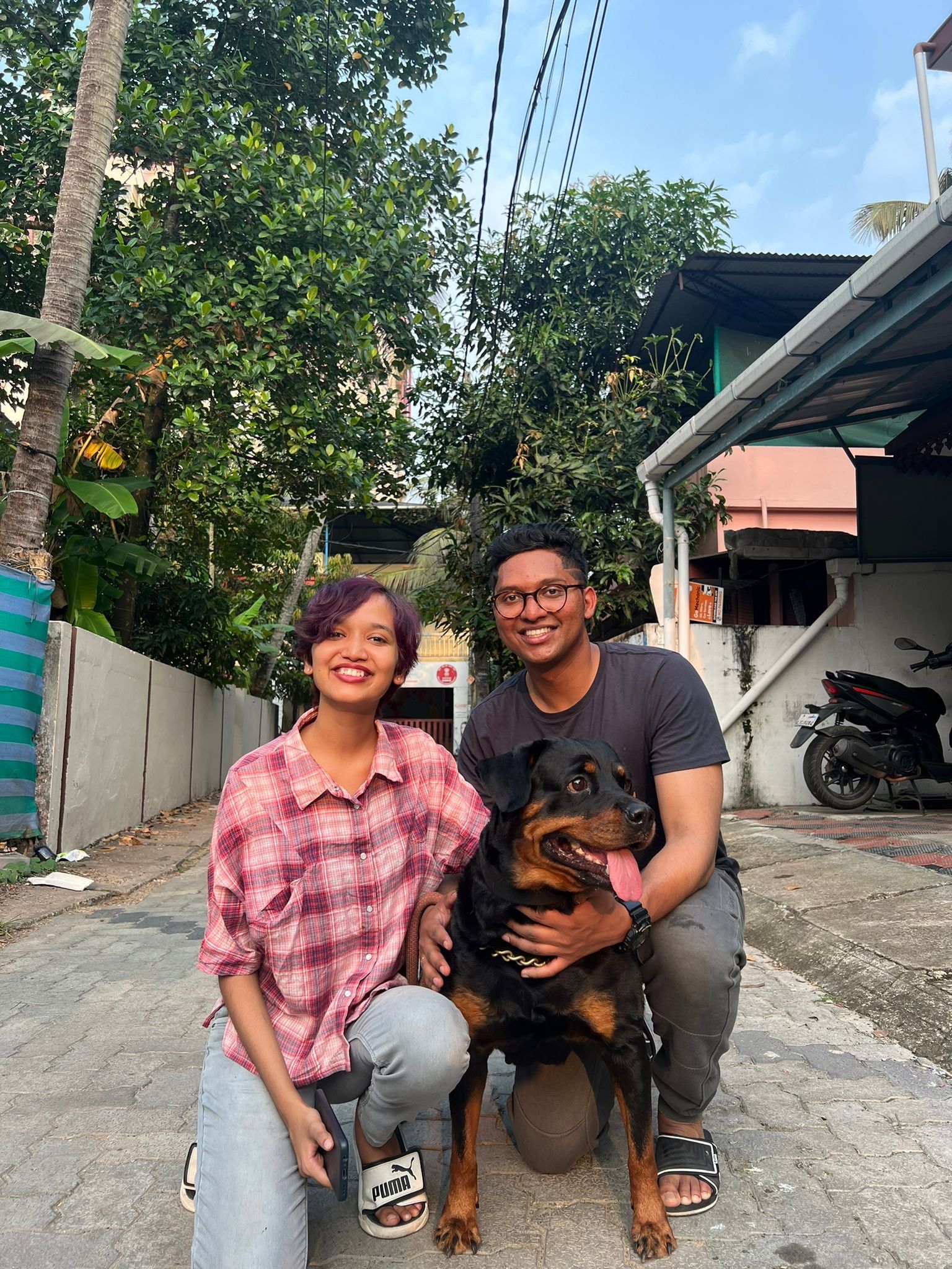 image-4