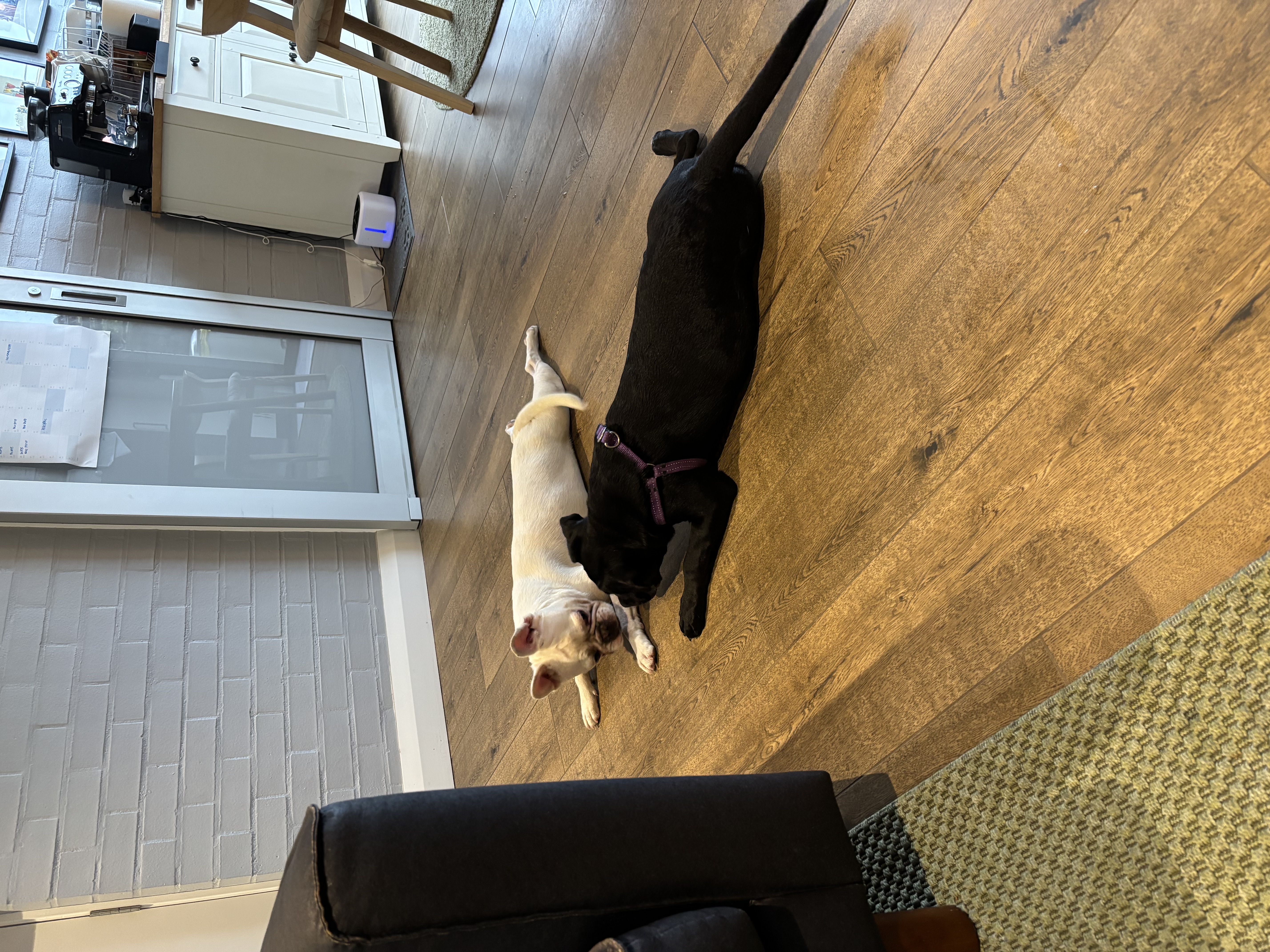 image-16