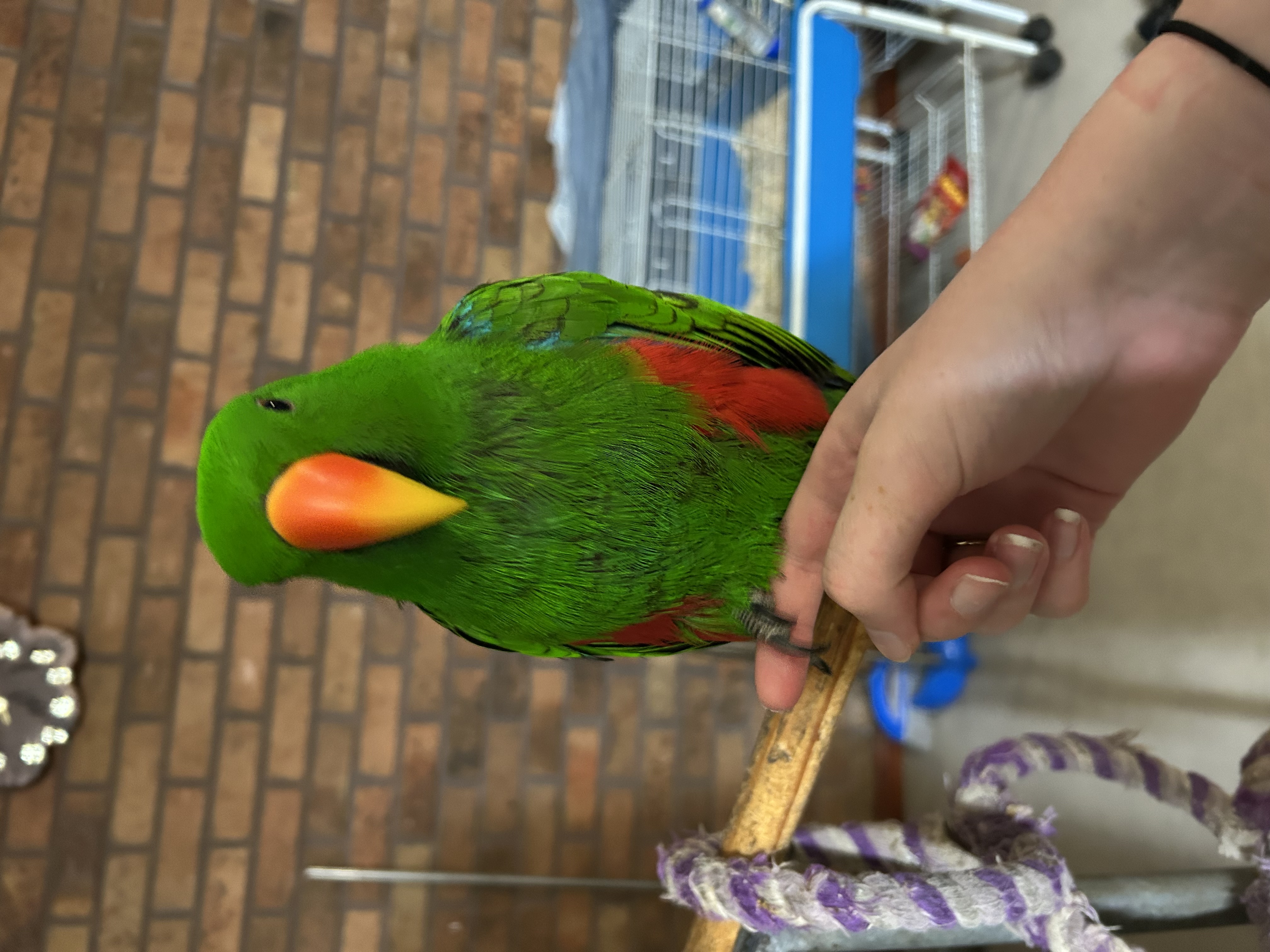 image-6