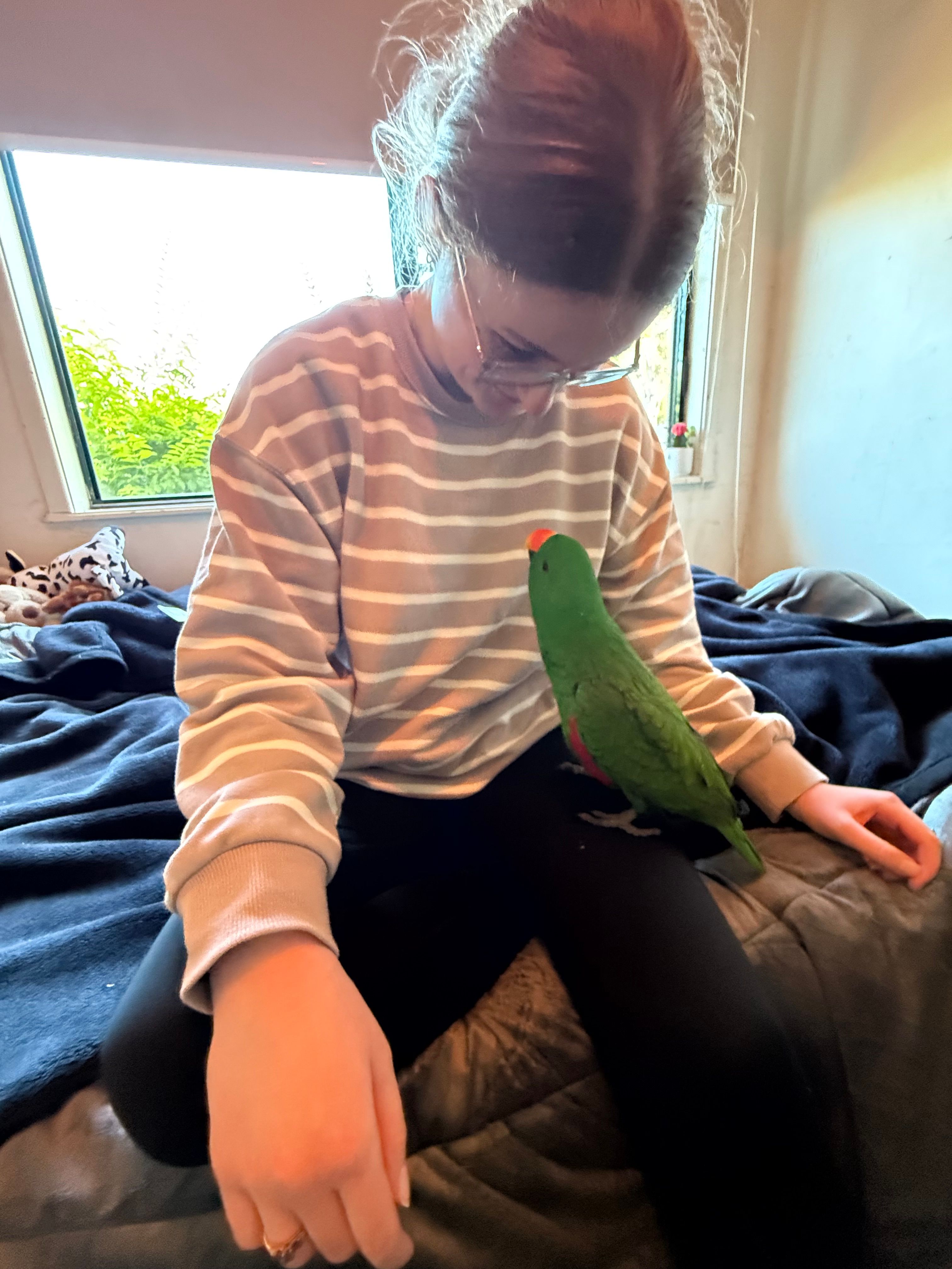 image-14